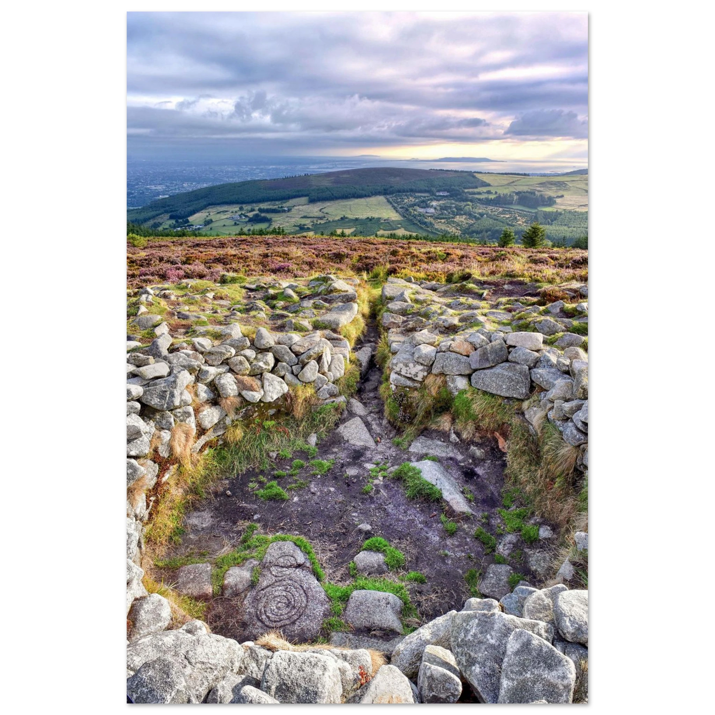 4d5fb5c5-2c26-4749-ac98-eeecceb06c46