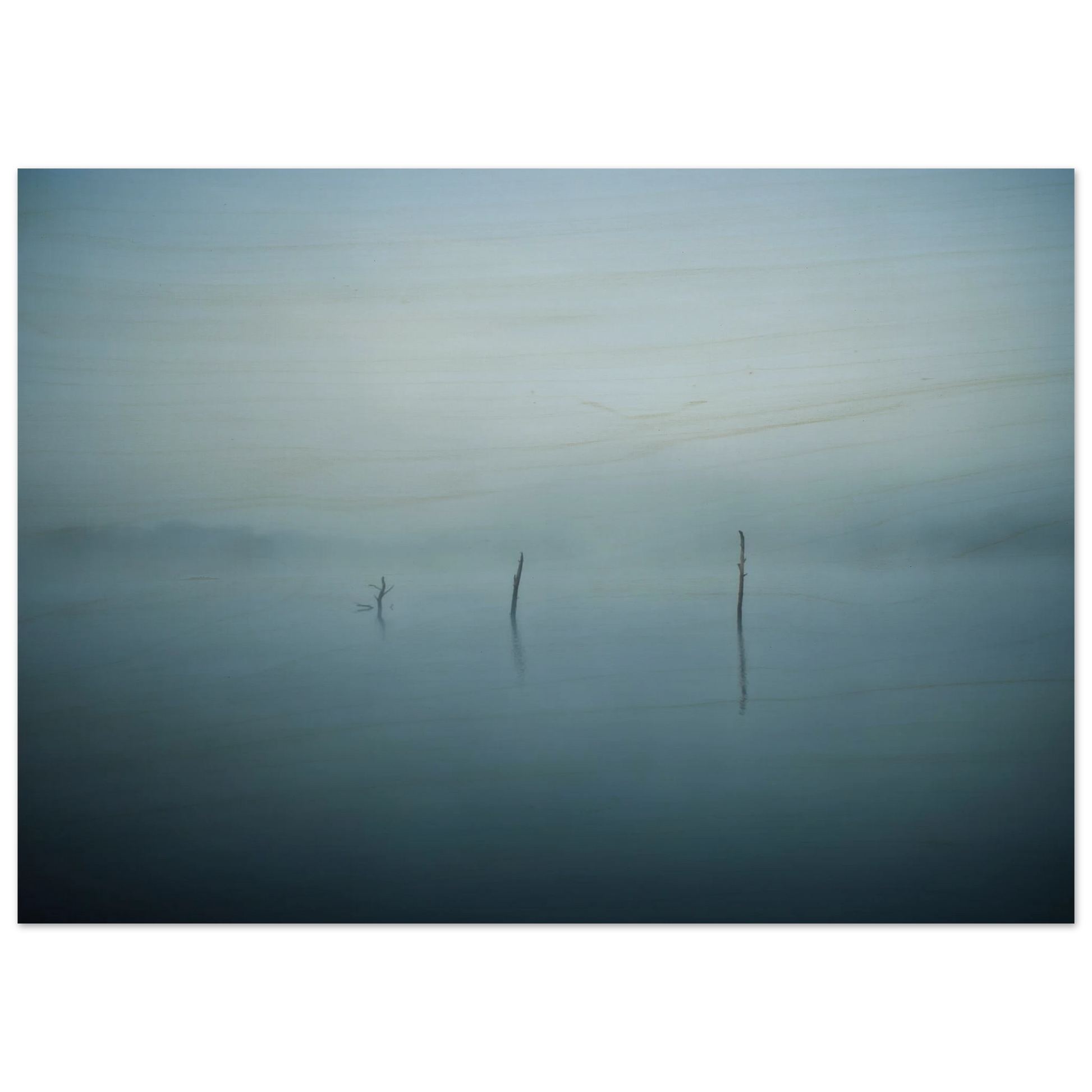 4e1edee2-ac88-4d24-8f8a-508662142ef6