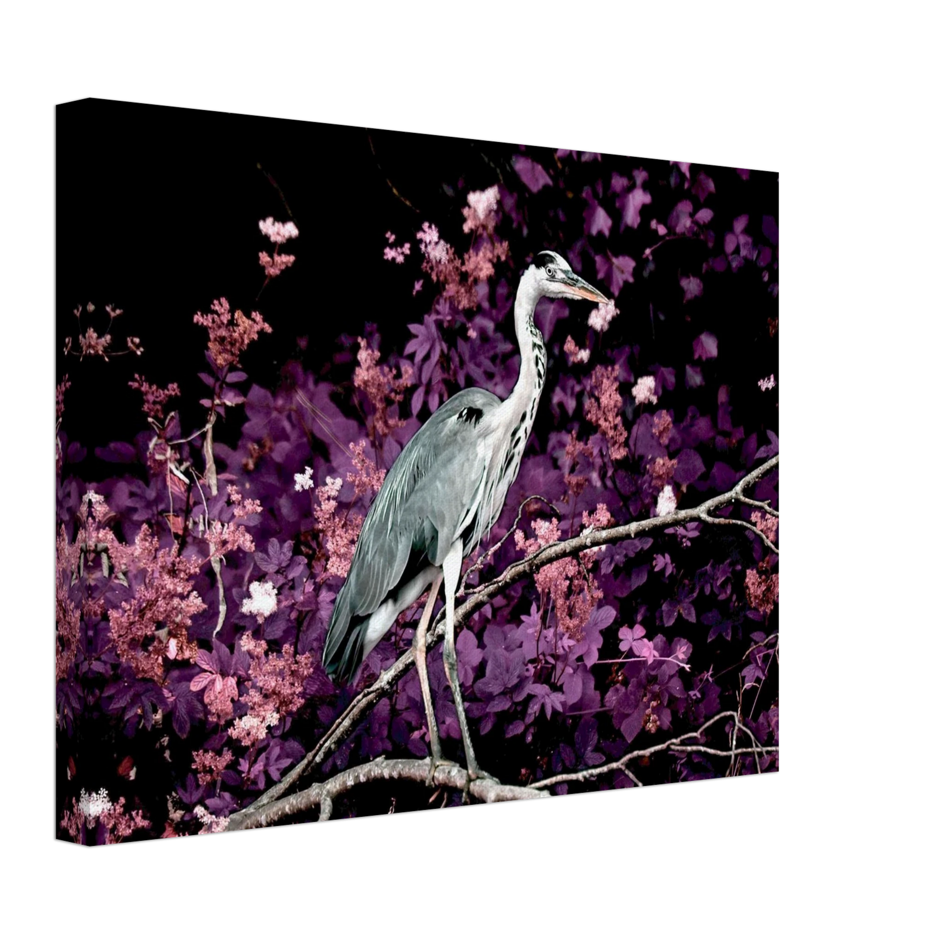 4e33c4b1-8e1e-4eae-b16c-ab0a230c1fc2