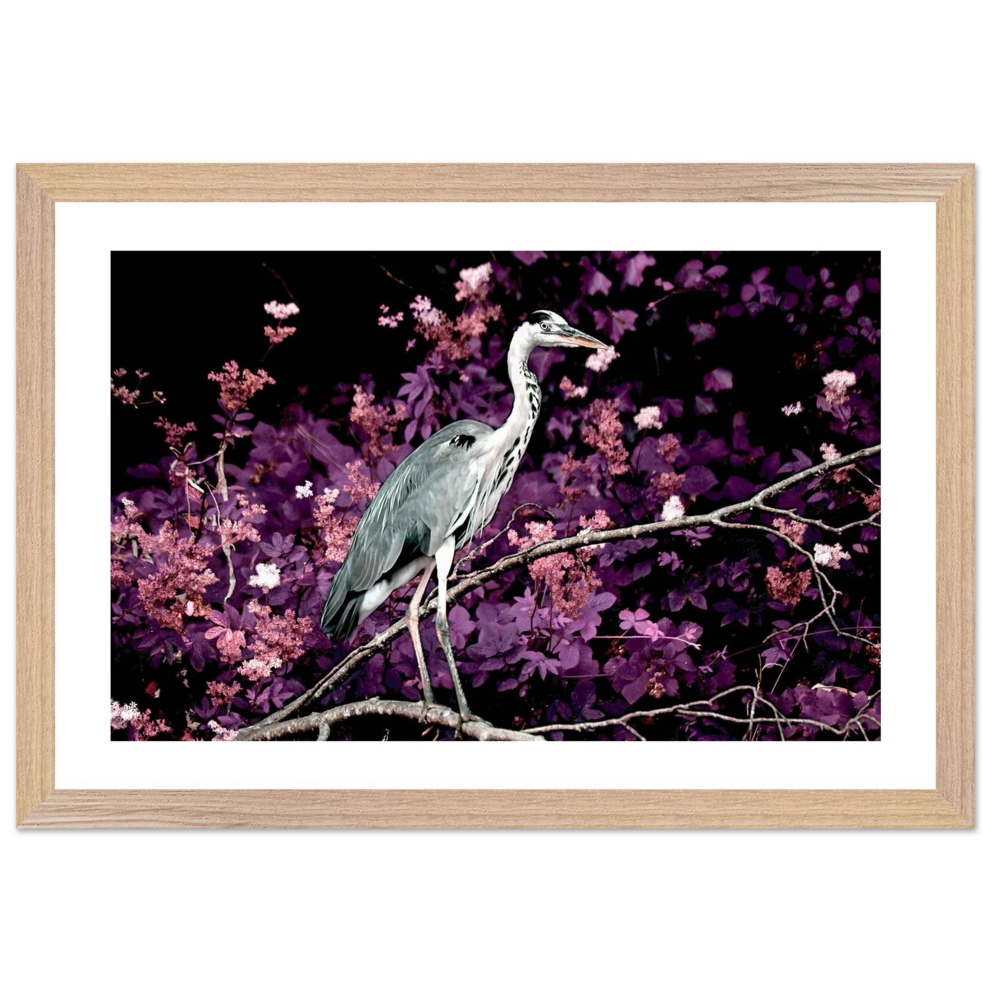 4f72a63a-c3fe-4559-a0dc-17e5144aeba2