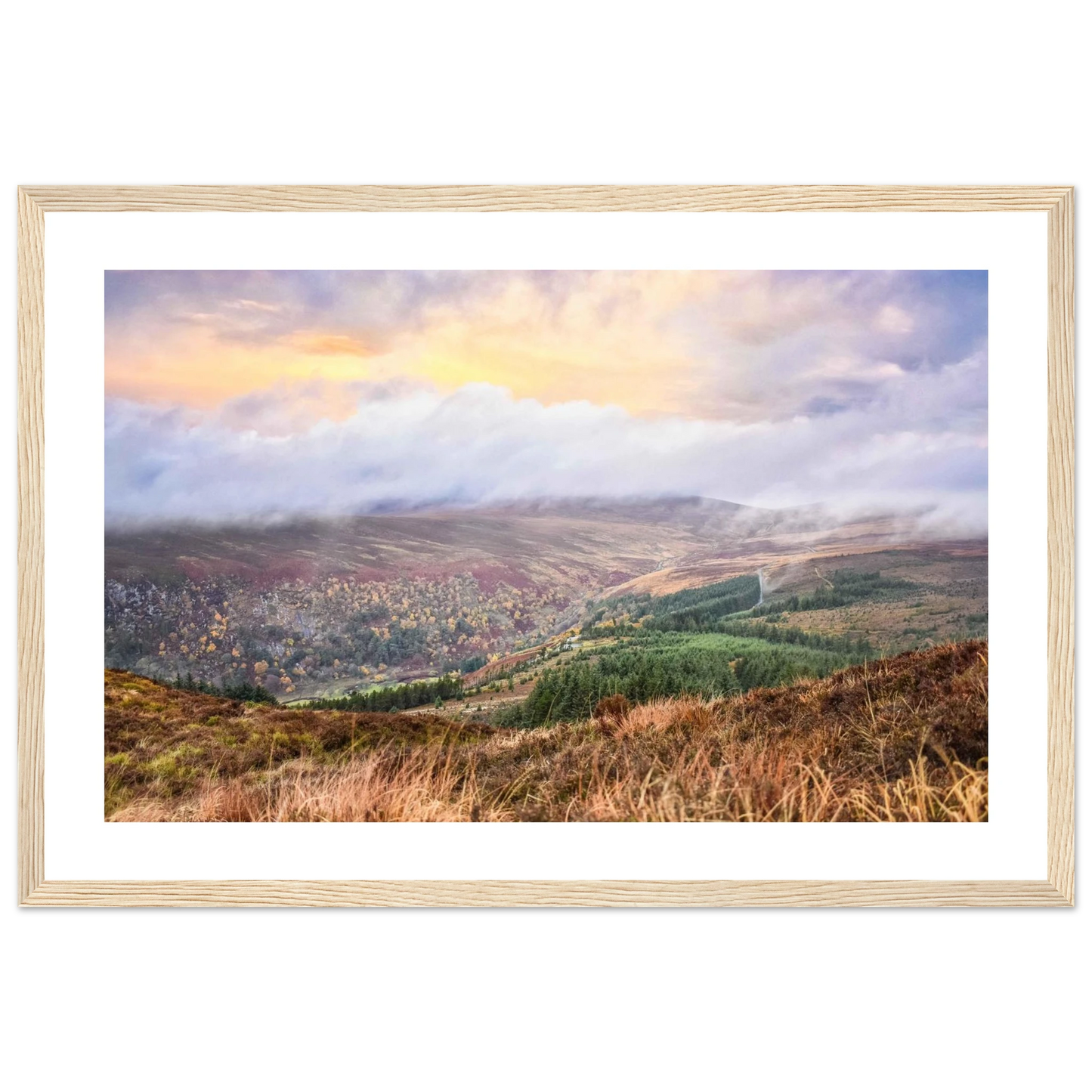 4f7c49cf-7bbb-4eef-853d-6dbfd0cba147