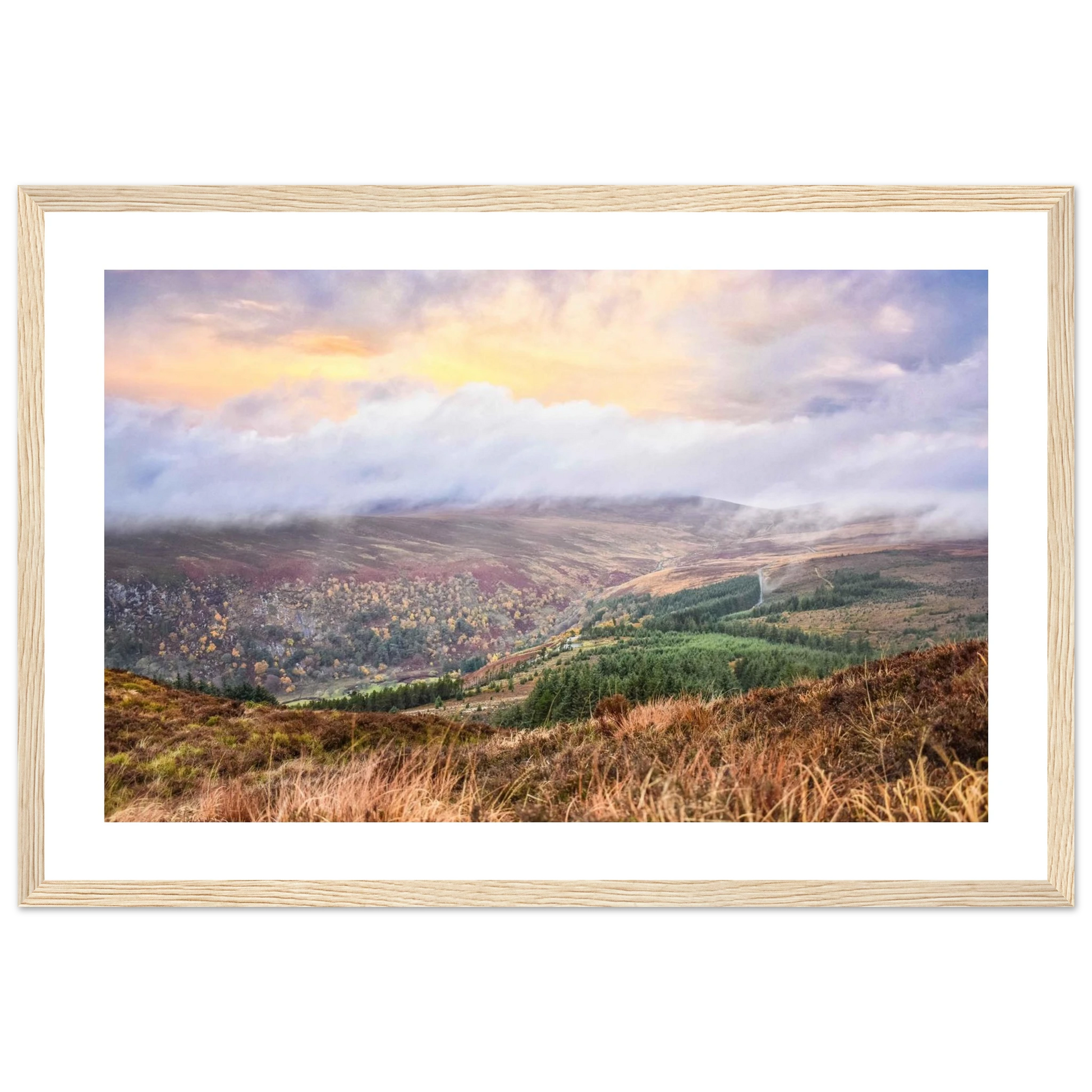 4f7c49cf-7bbb-4eef-853d-6dbfd0cba147