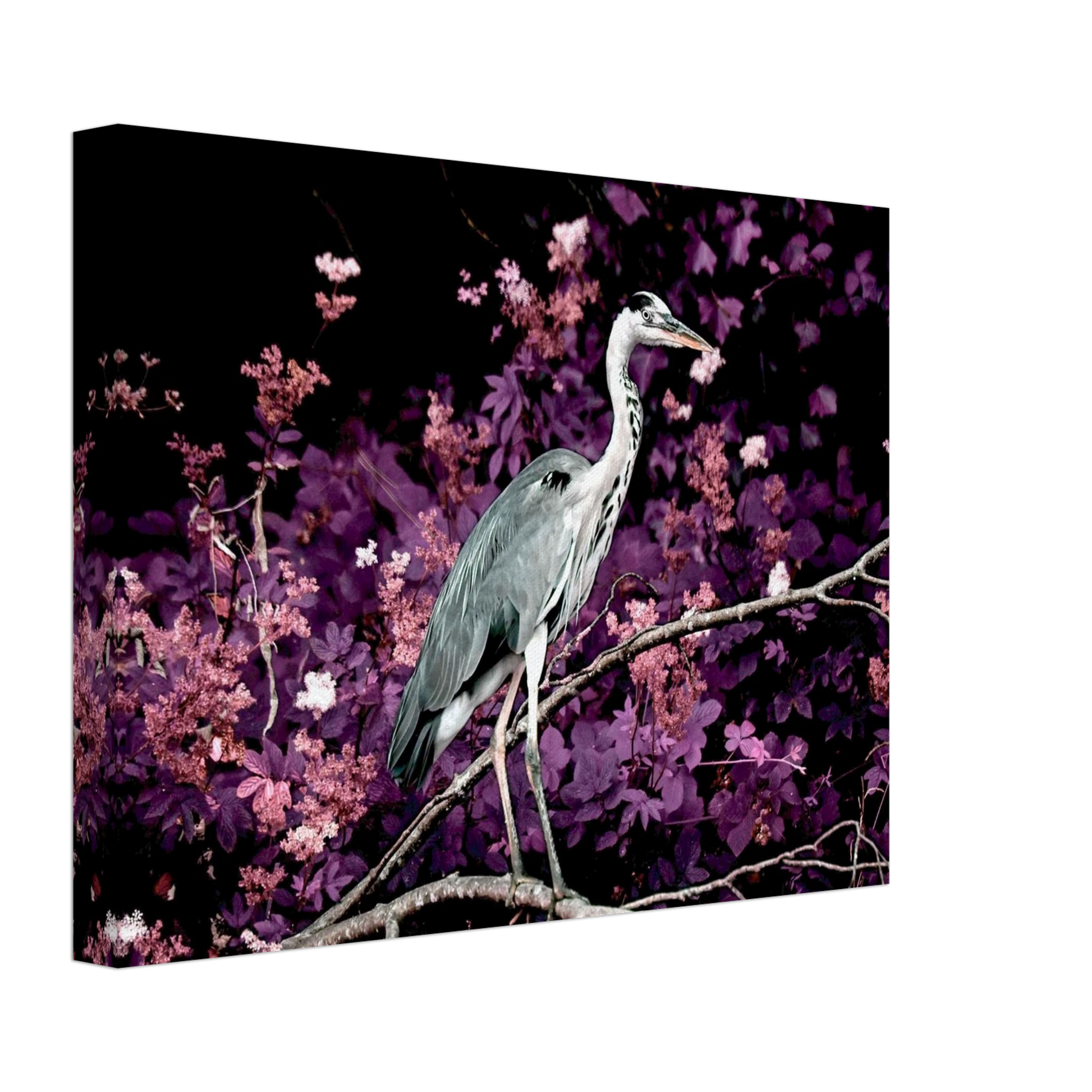 4fcaf772-1d8f-4869-9f4f-c8dcca290c09