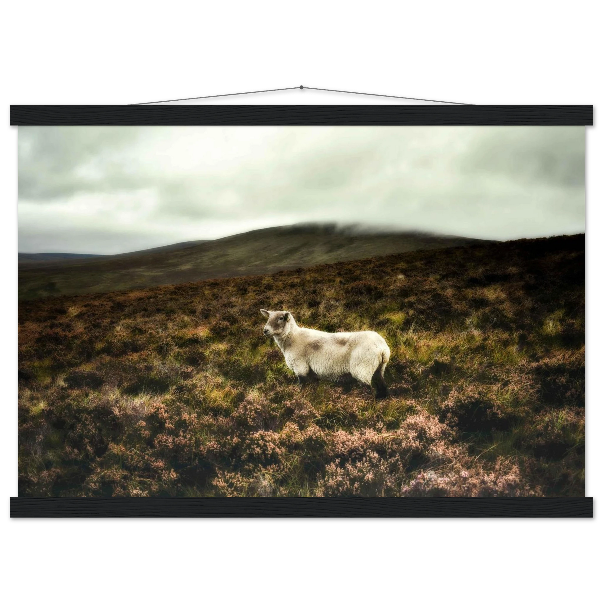 4fcddcec-72b1-450d-b0d6-d8bd0a332ec6