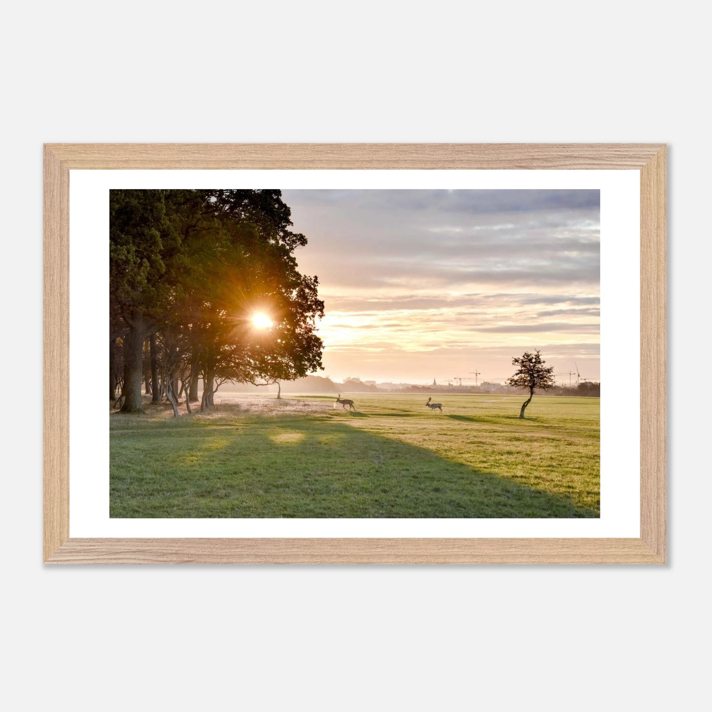 501eb166-dfb0-4665-b975-858a8d66f2eb