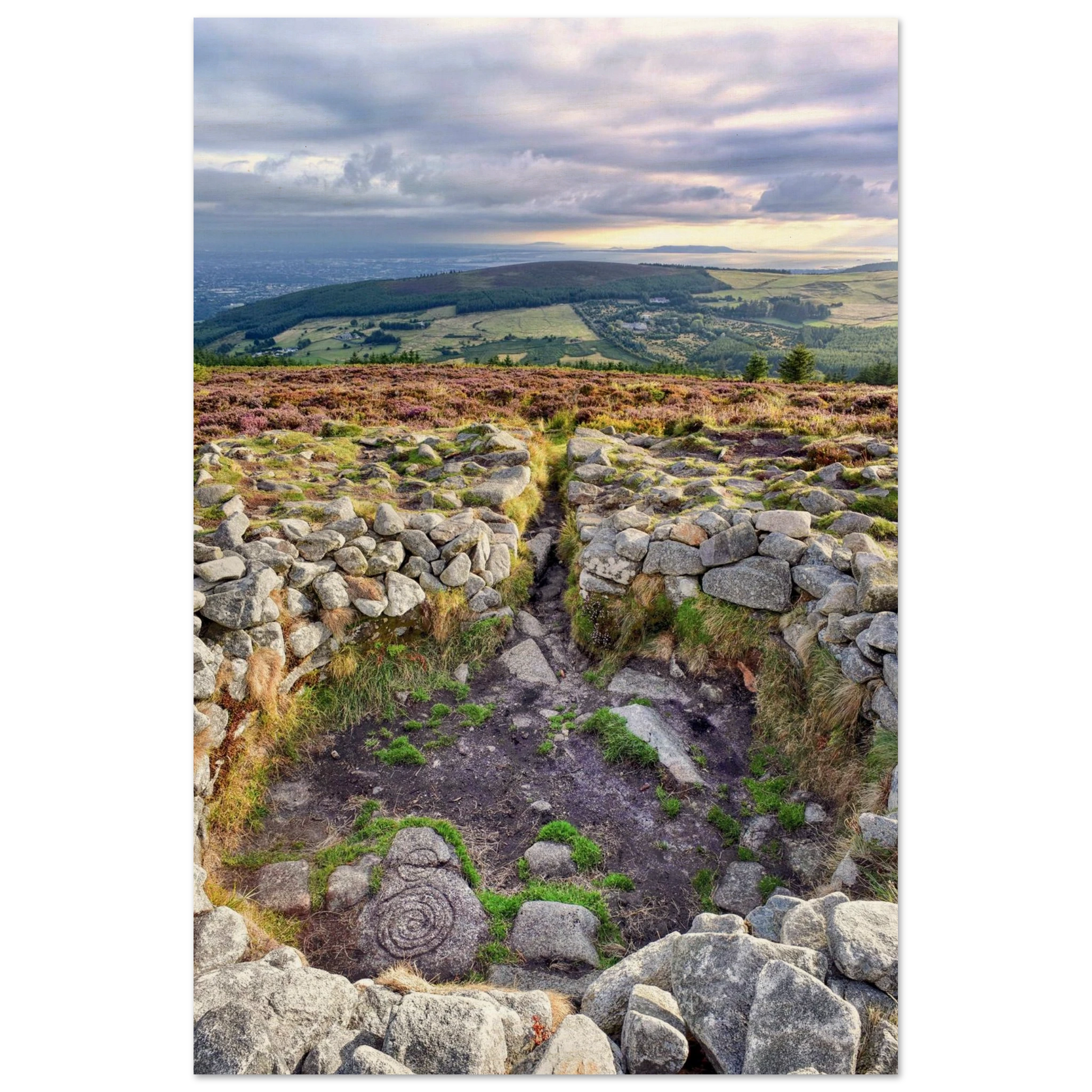 503c647a-cd4a-4fe1-8269-7f89a899000f