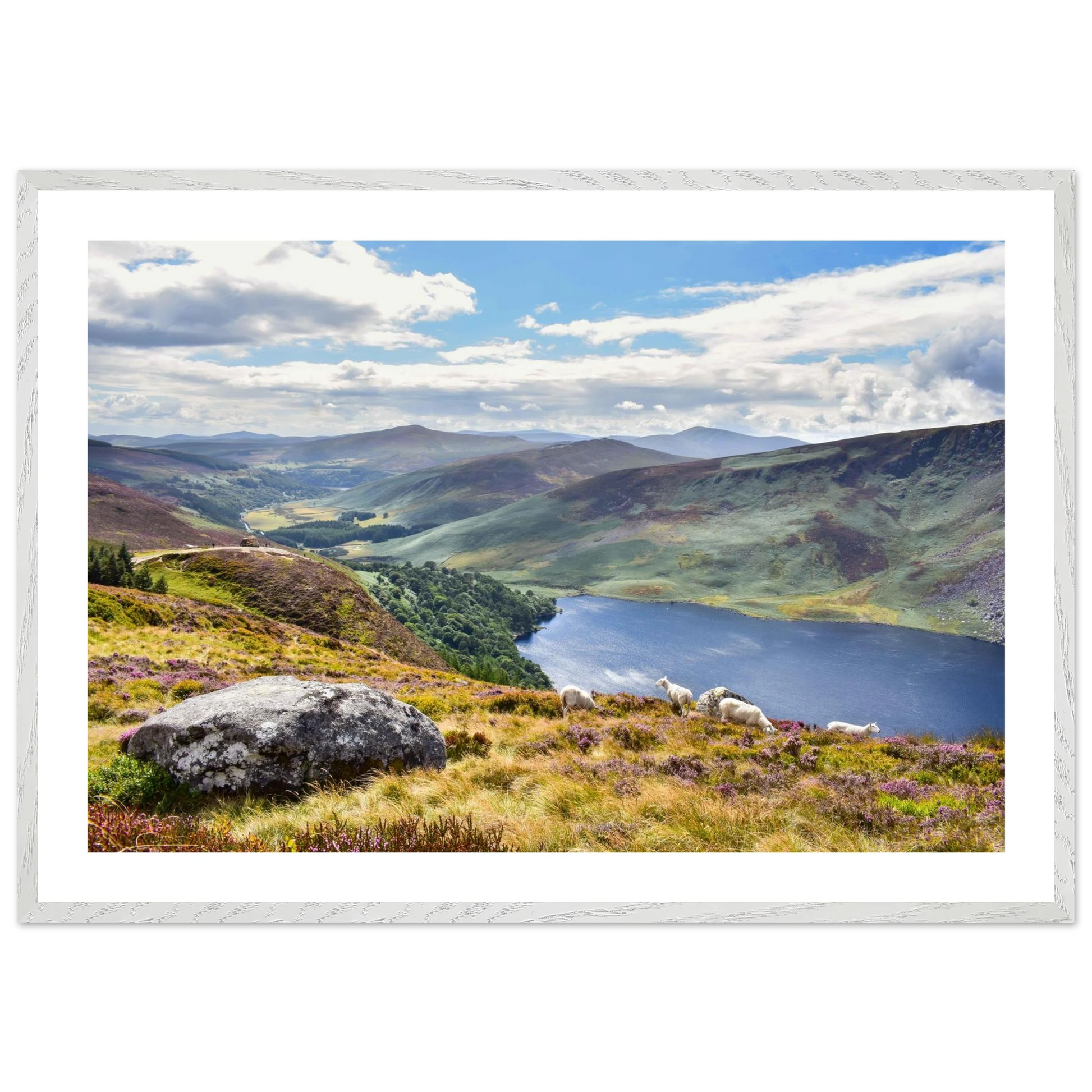 504924b5-2d59-435a-aac1-0c02fd4bbc19