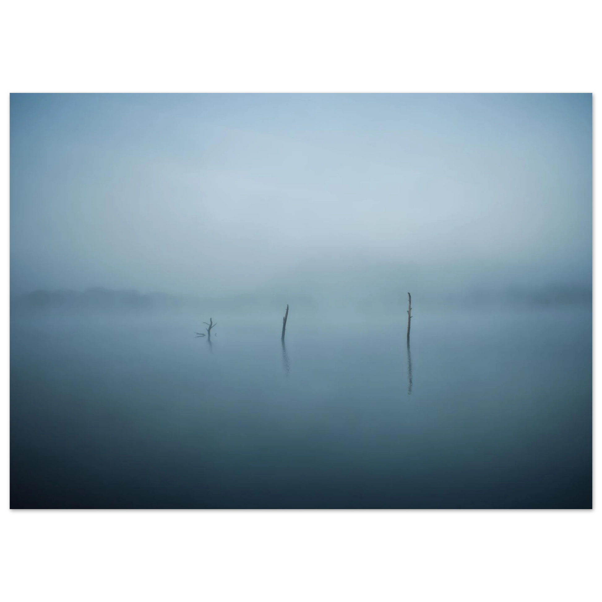 50e35452-e6f6-4cdd-a981-d83b47b4c777