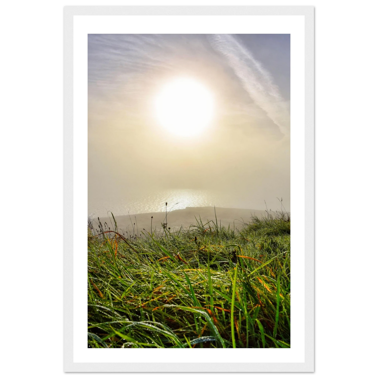 510594f2-4c92-430b-b680-fb055e6470a3