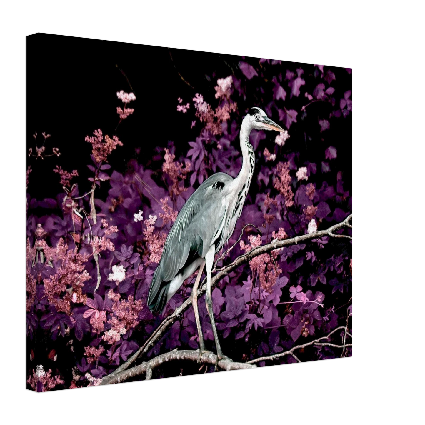 51647343-7d2f-4a17-8e68-2e855a0ed014