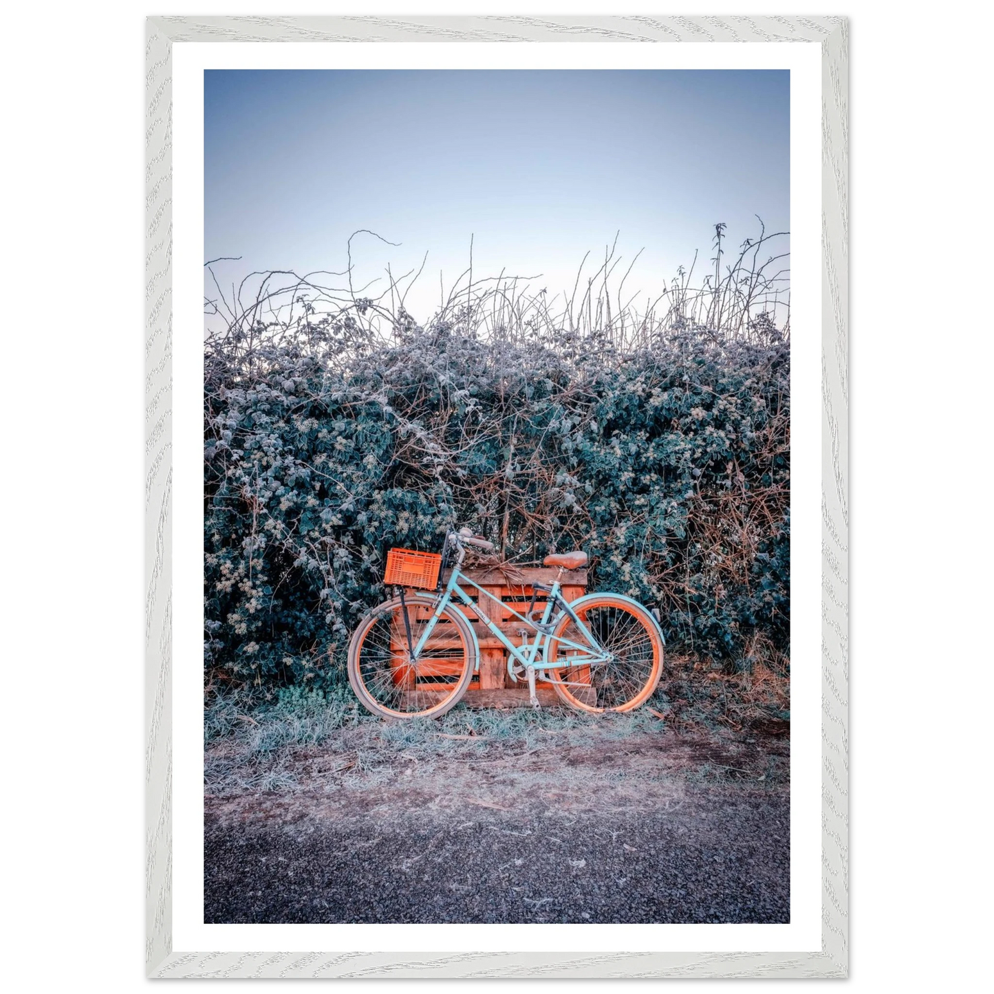 51b0ebfc-20fa-433b-803a-52e65cfadb65