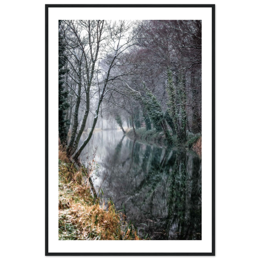 51bc510e-44fb-404d-860c-fde163737150