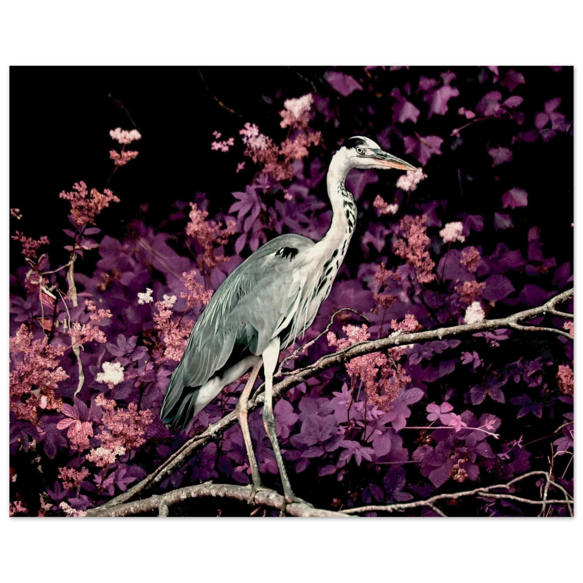 52036eaa-857f-481d-878e-bdb0e3ef3754