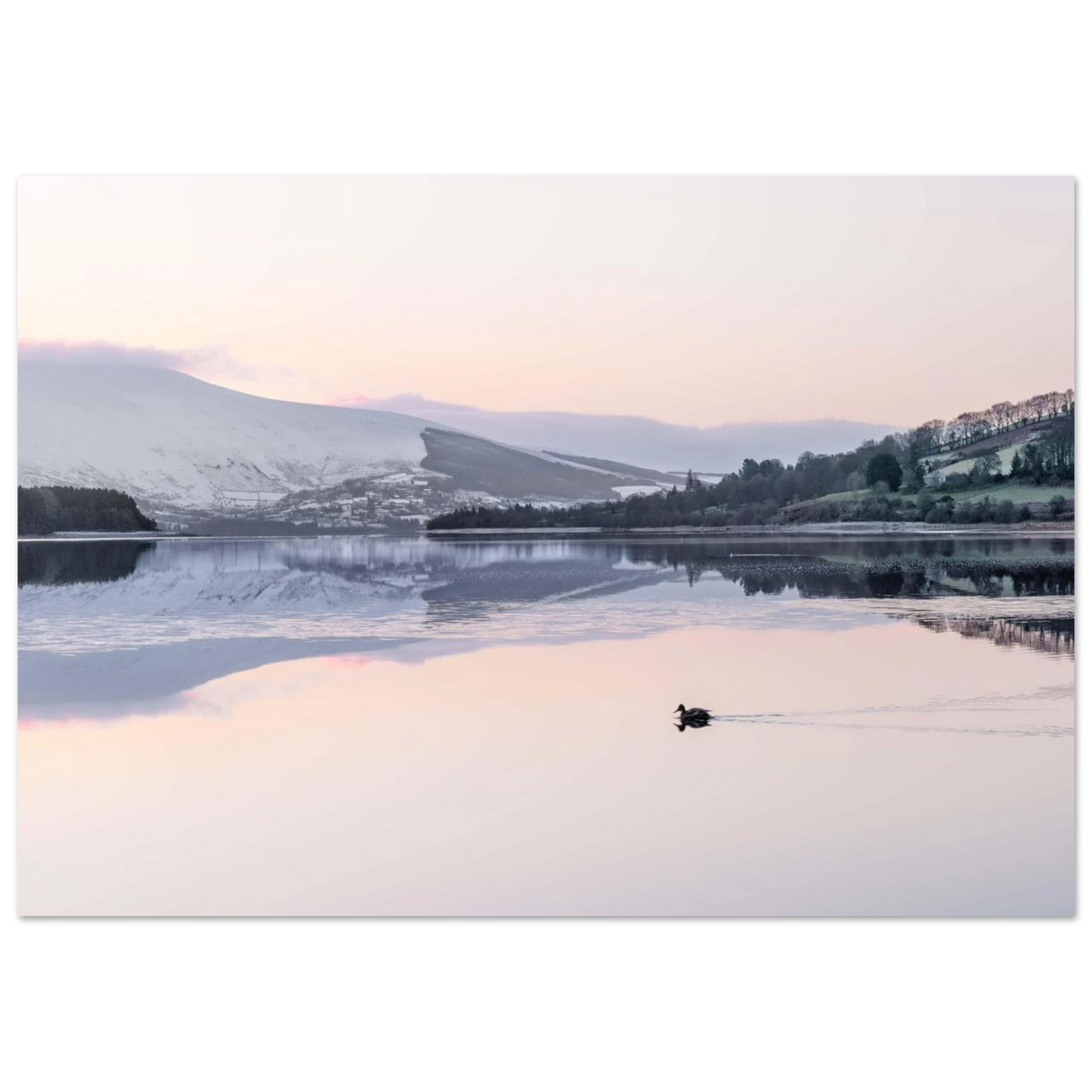 52092f45-775e-41ad-84ab-27352dd5ef8d