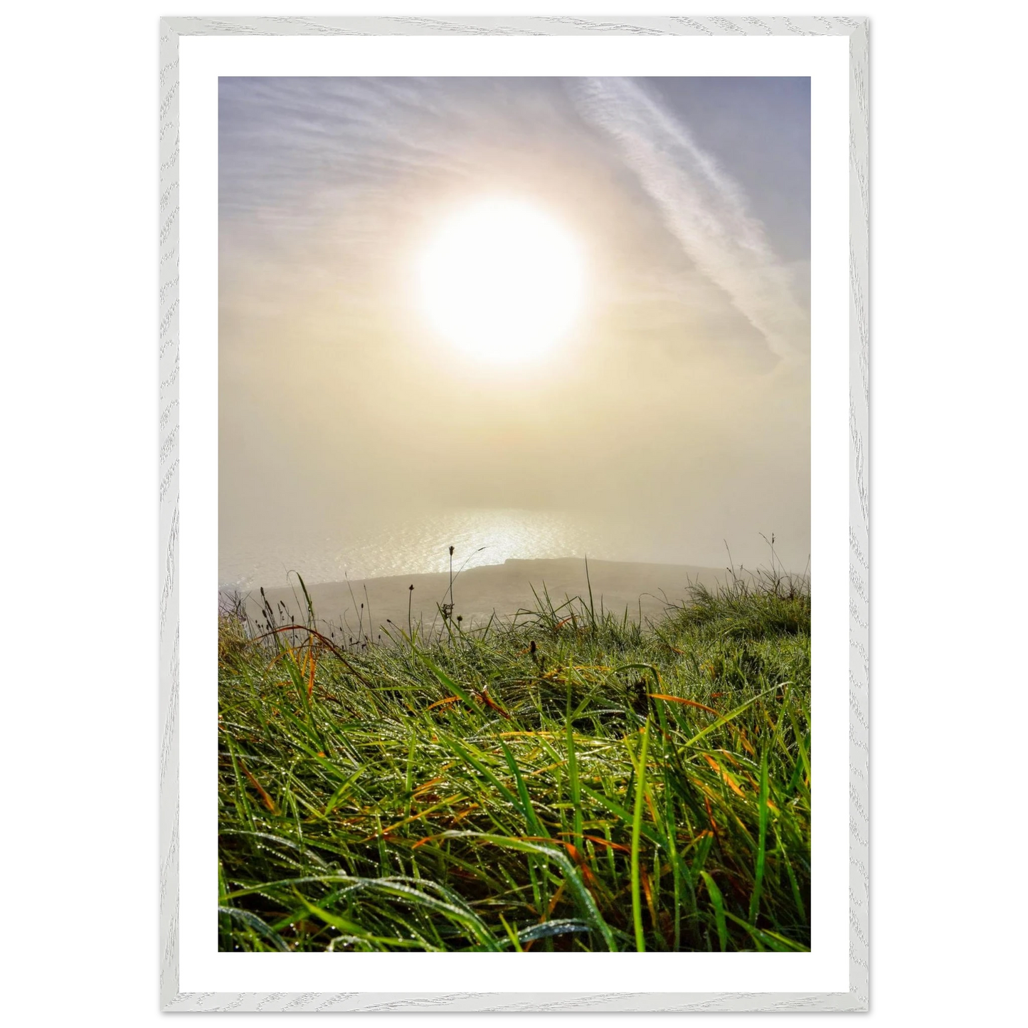 529e506c-4b95-4c32-b2e6-edbcec03db13