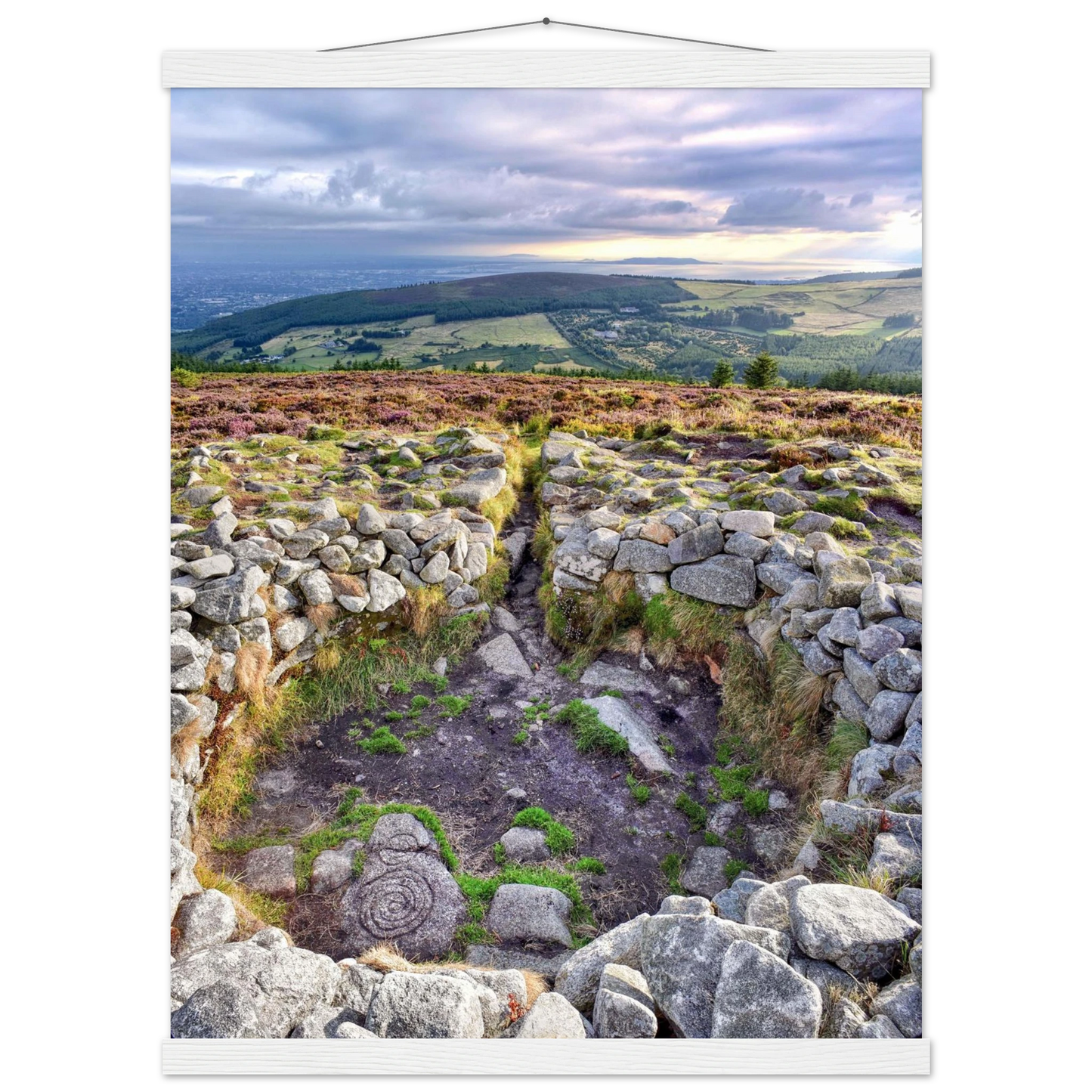 52b2ece0-605b-4e8a-b541-7ec219963b9f