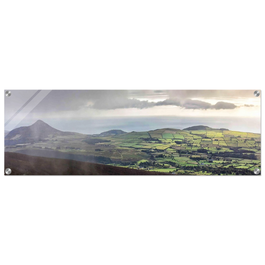 52e11bd7-cdd4-4dc6-895a-93d67ef1b71e