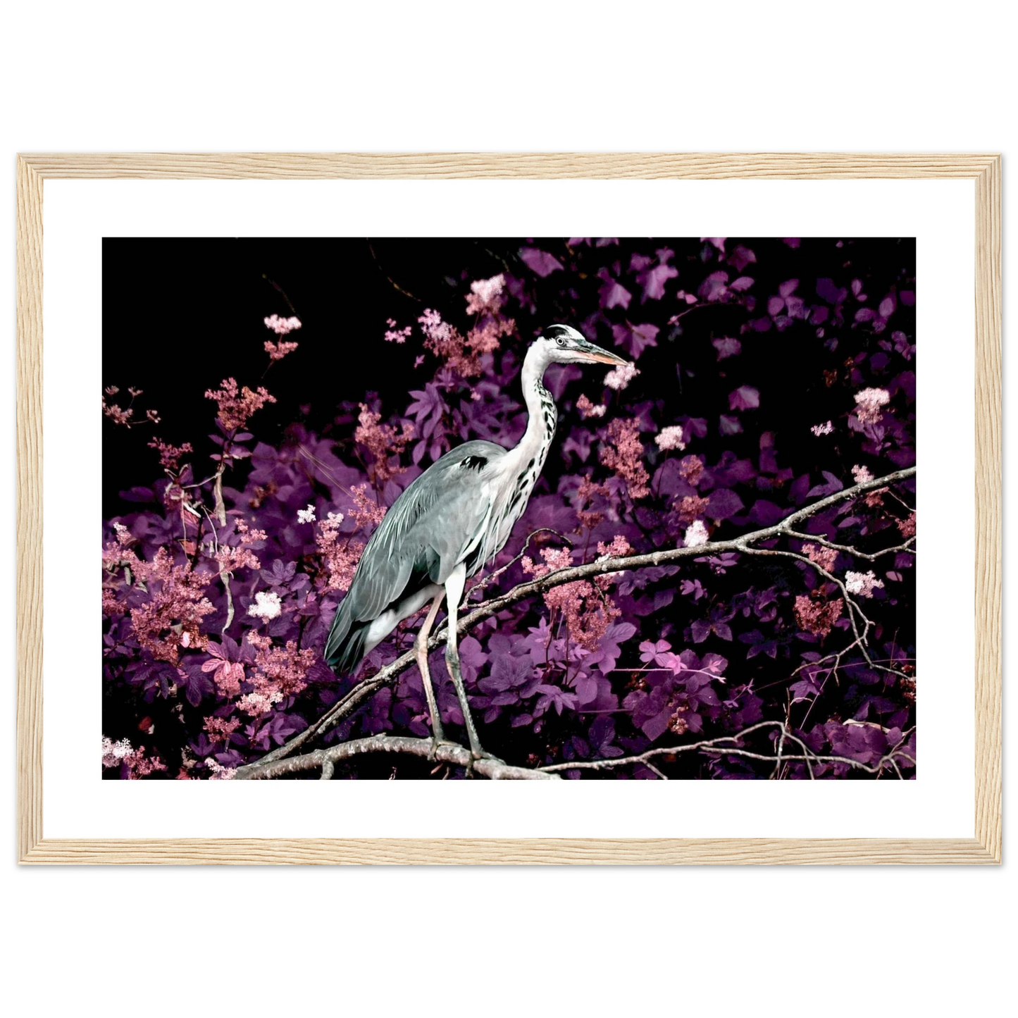 52f15c8b-48a7-4876-8bfa-d6f7ddf814ed