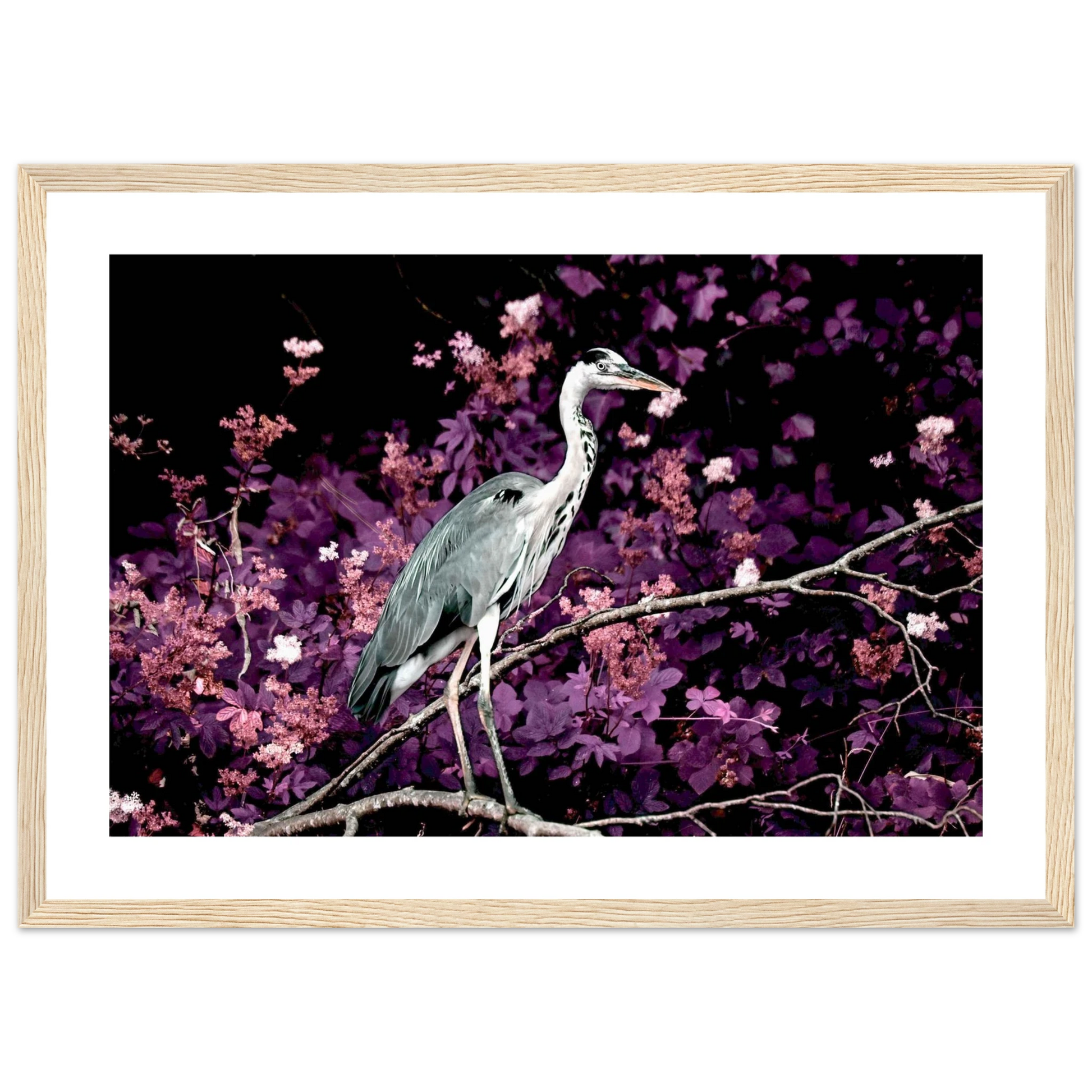 52f15c8b-48a7-4876-8bfa-d6f7ddf814ed