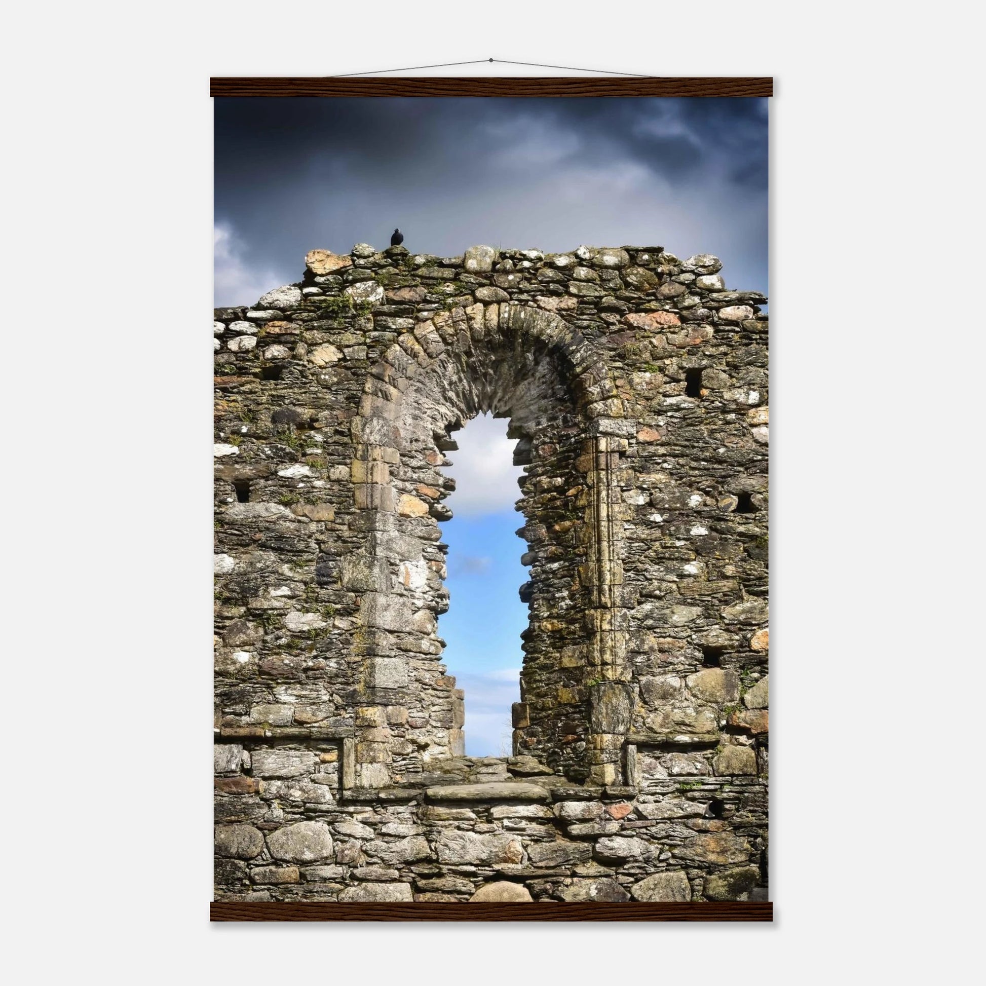 52fa5888-9849-4b5c-bc14-2f2c3bcbe119