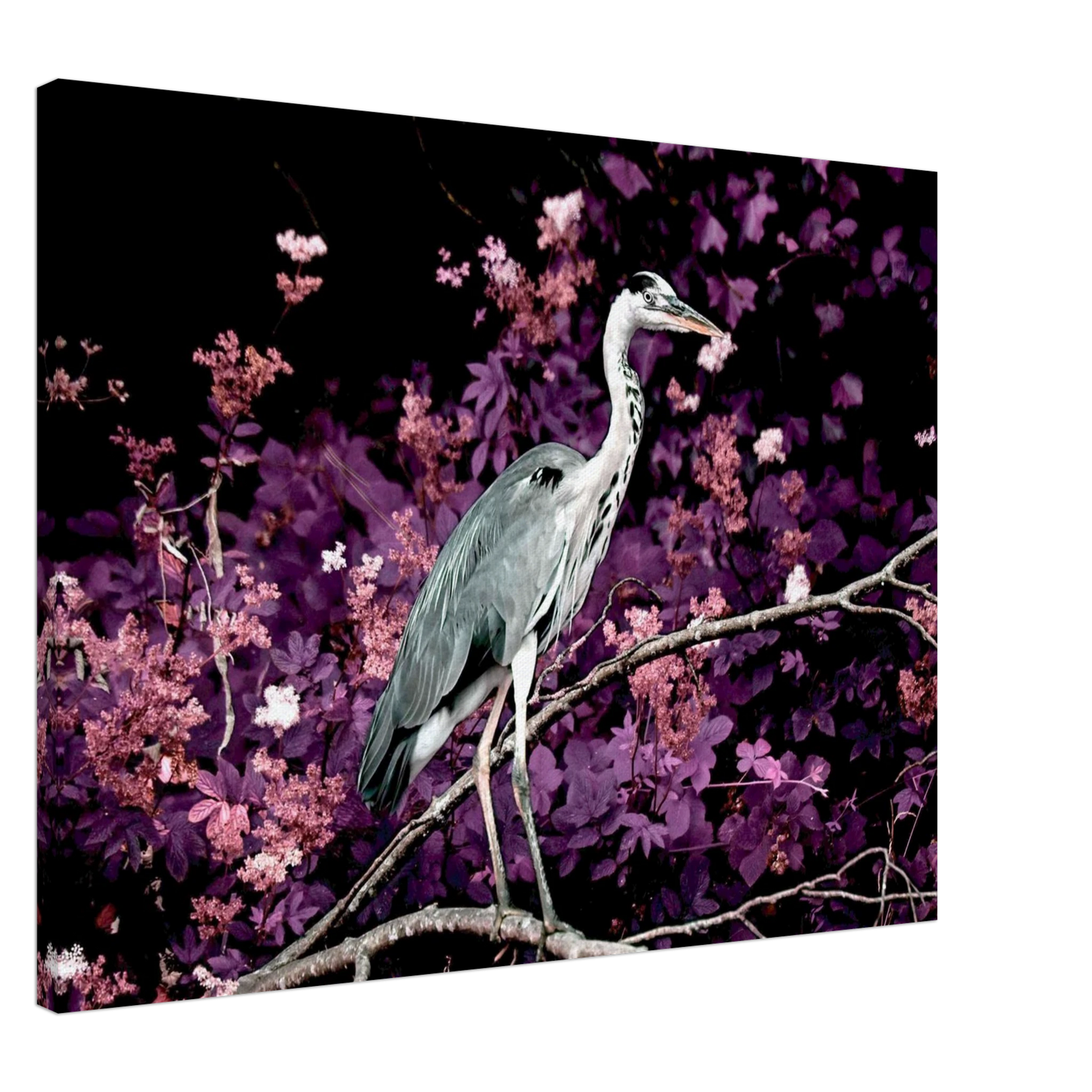 53abd27c-3fb1-4bbb-8201-776cea6e8f0d