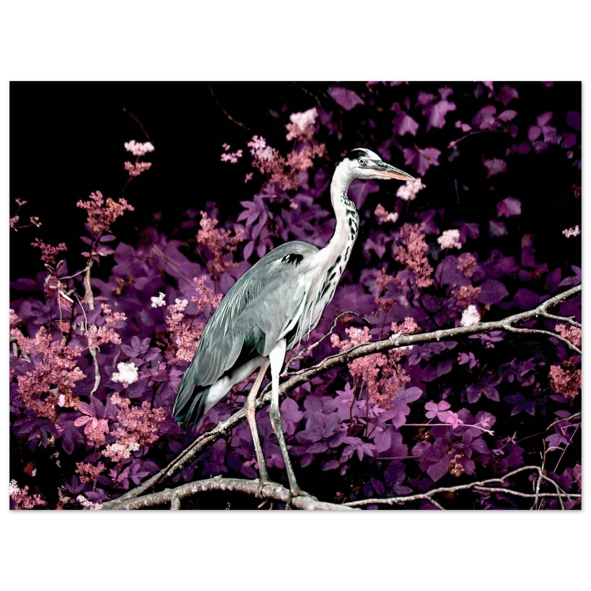 53bc19e1-cce8-4242-933a-34c23615311c