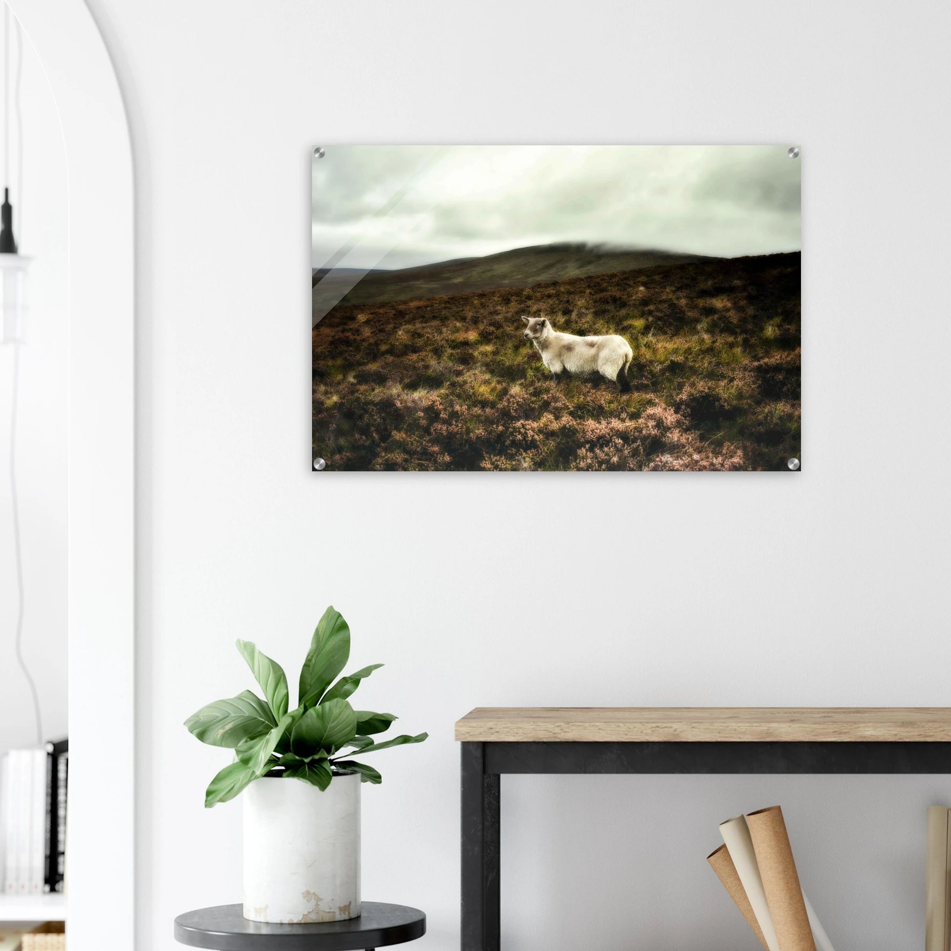 53c3ae9f-f179-4668-b00b-ce762fd045d7