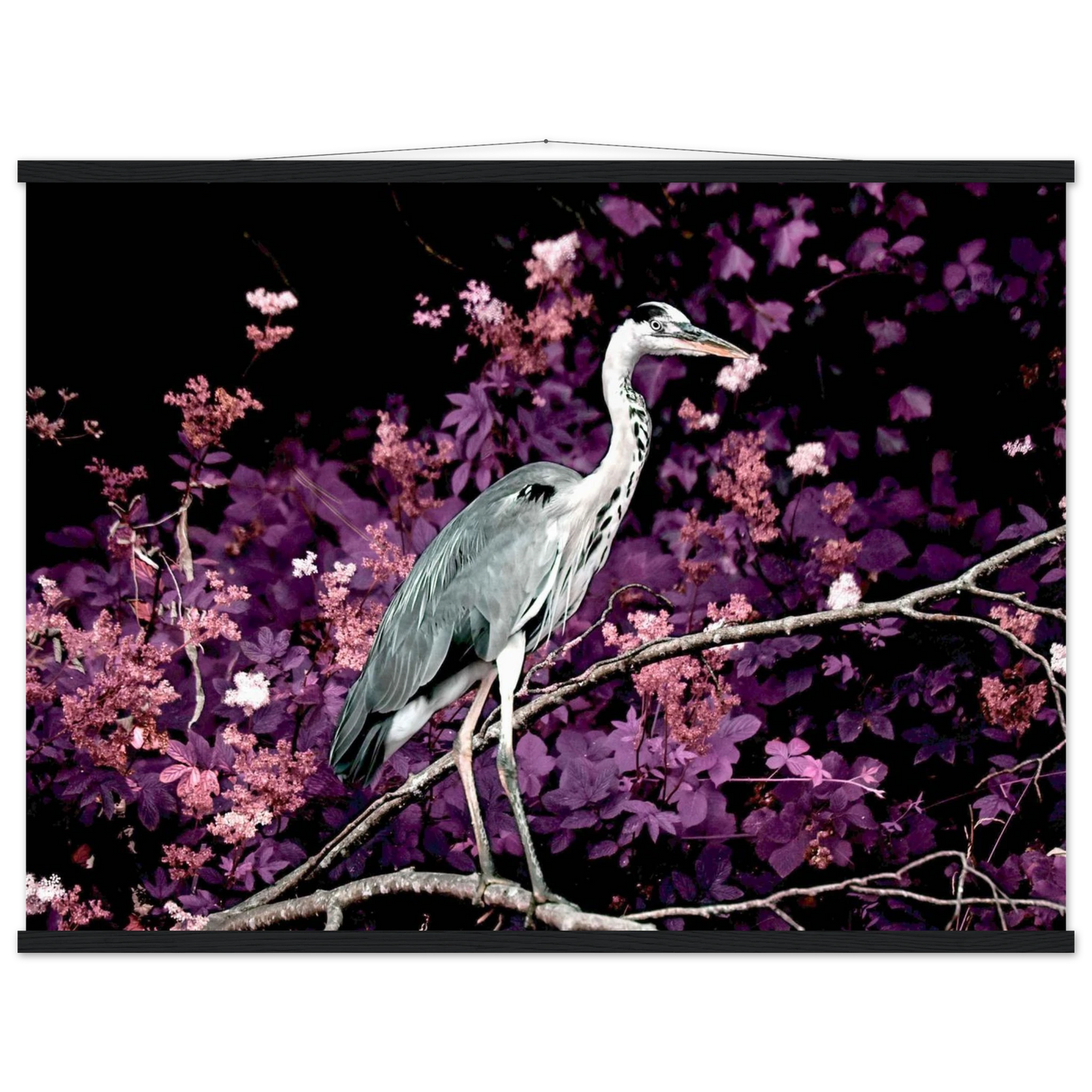 53d3f30b-ca05-4b83-9aa2-67818207caab