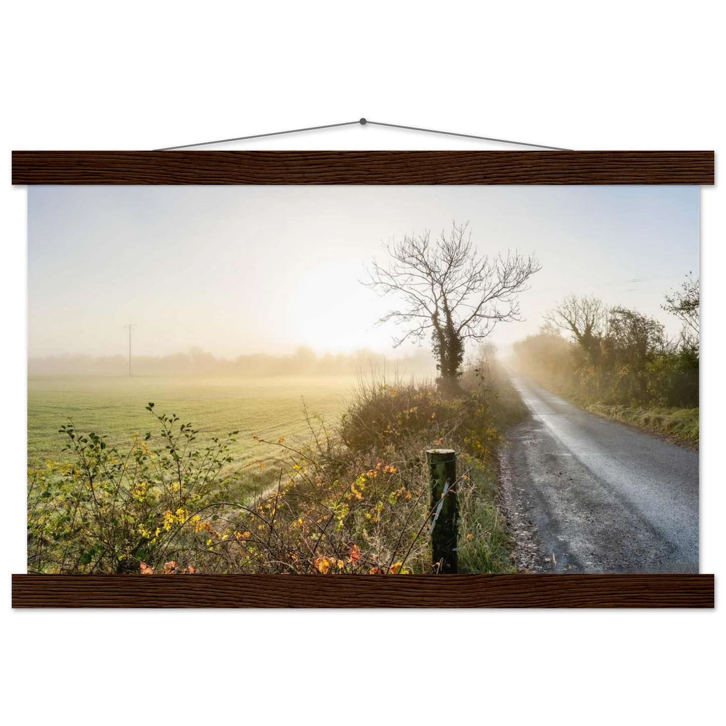 5403499f-1be0-4c4f-82ca-28c070fae4be