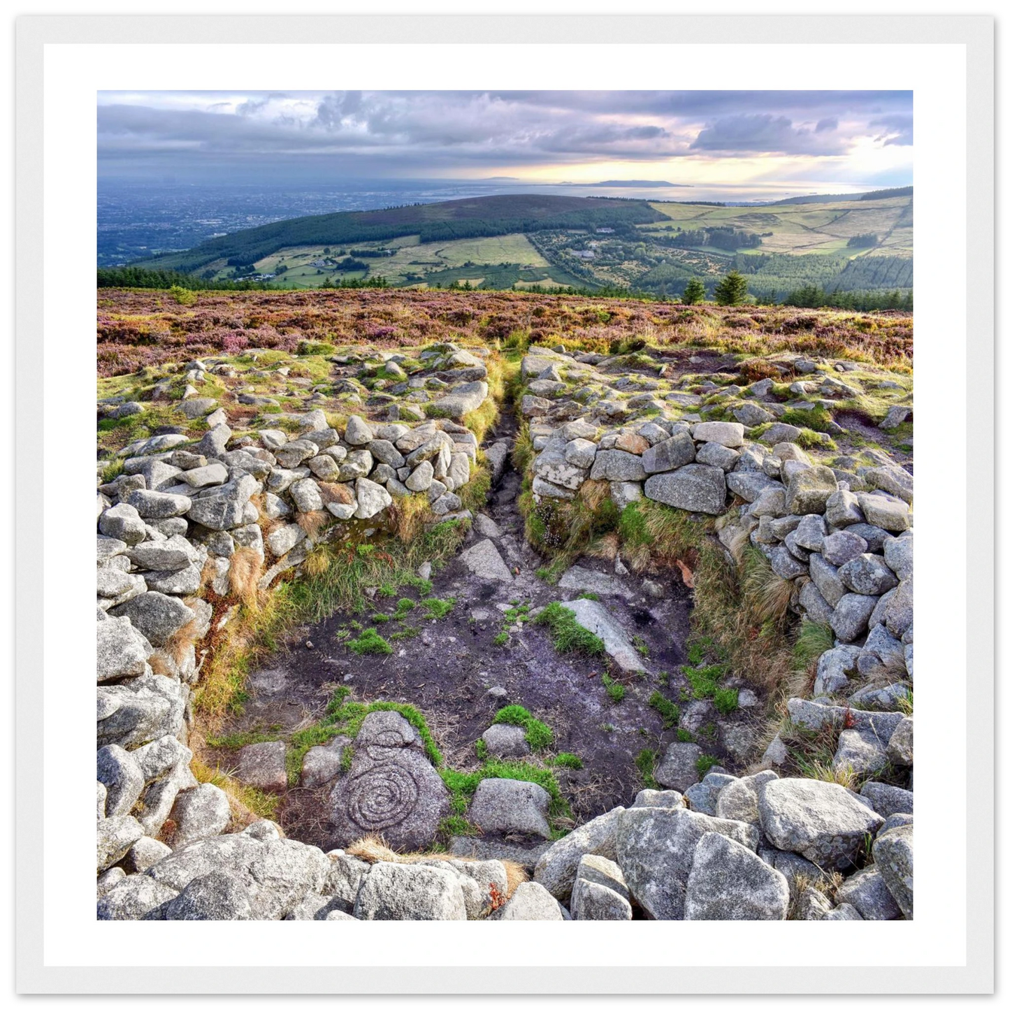 5408e52d-ee70-4ae2-bc16-c734652919e2