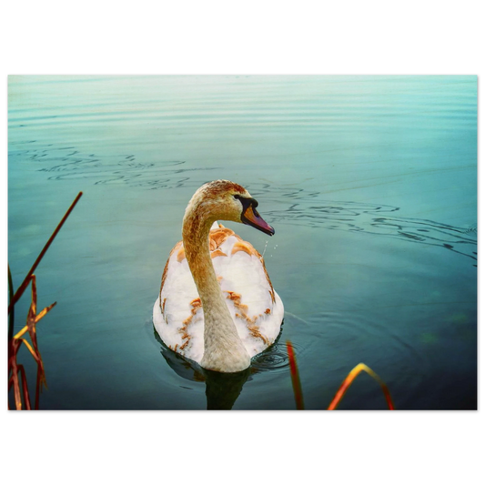 5427bb82-e6cd-4409-b094-0fca410afabb