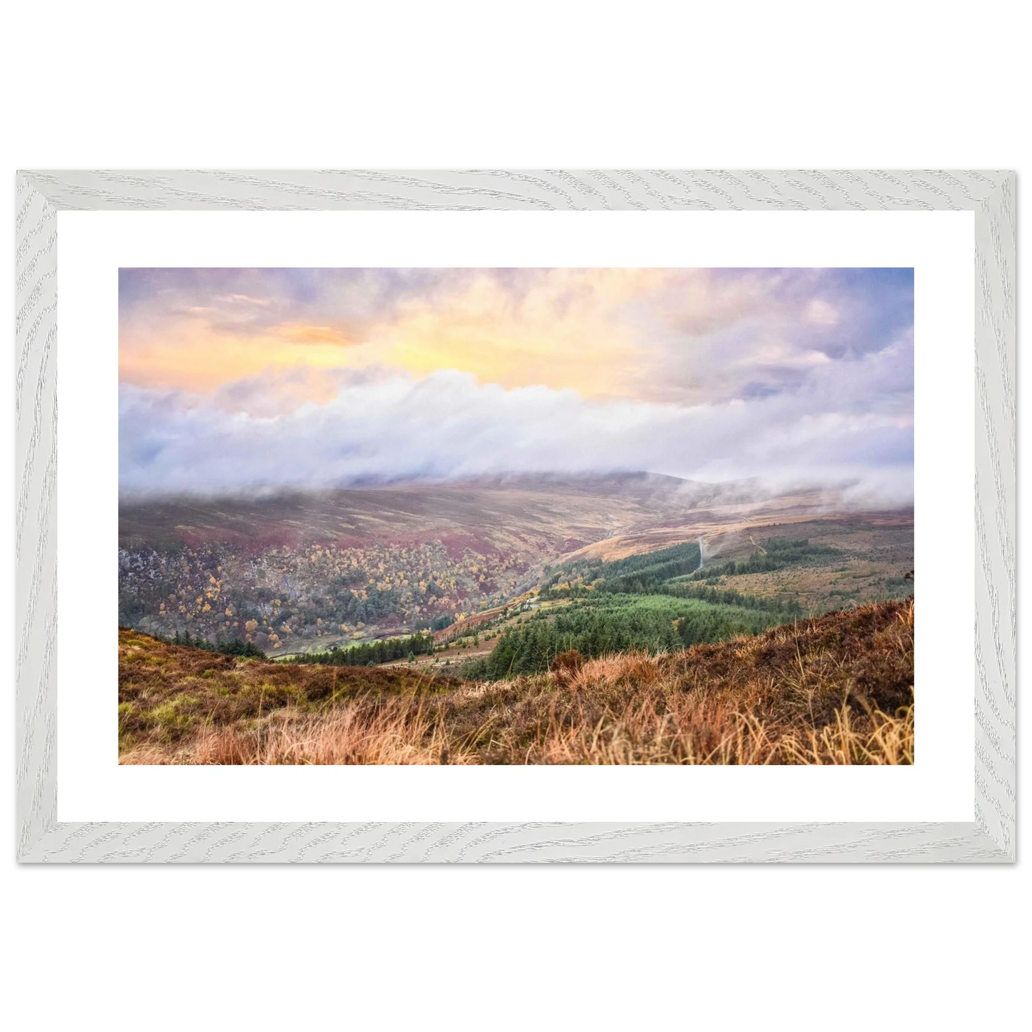 54616a68-8c3e-4098-a703-7b2c5cff990a