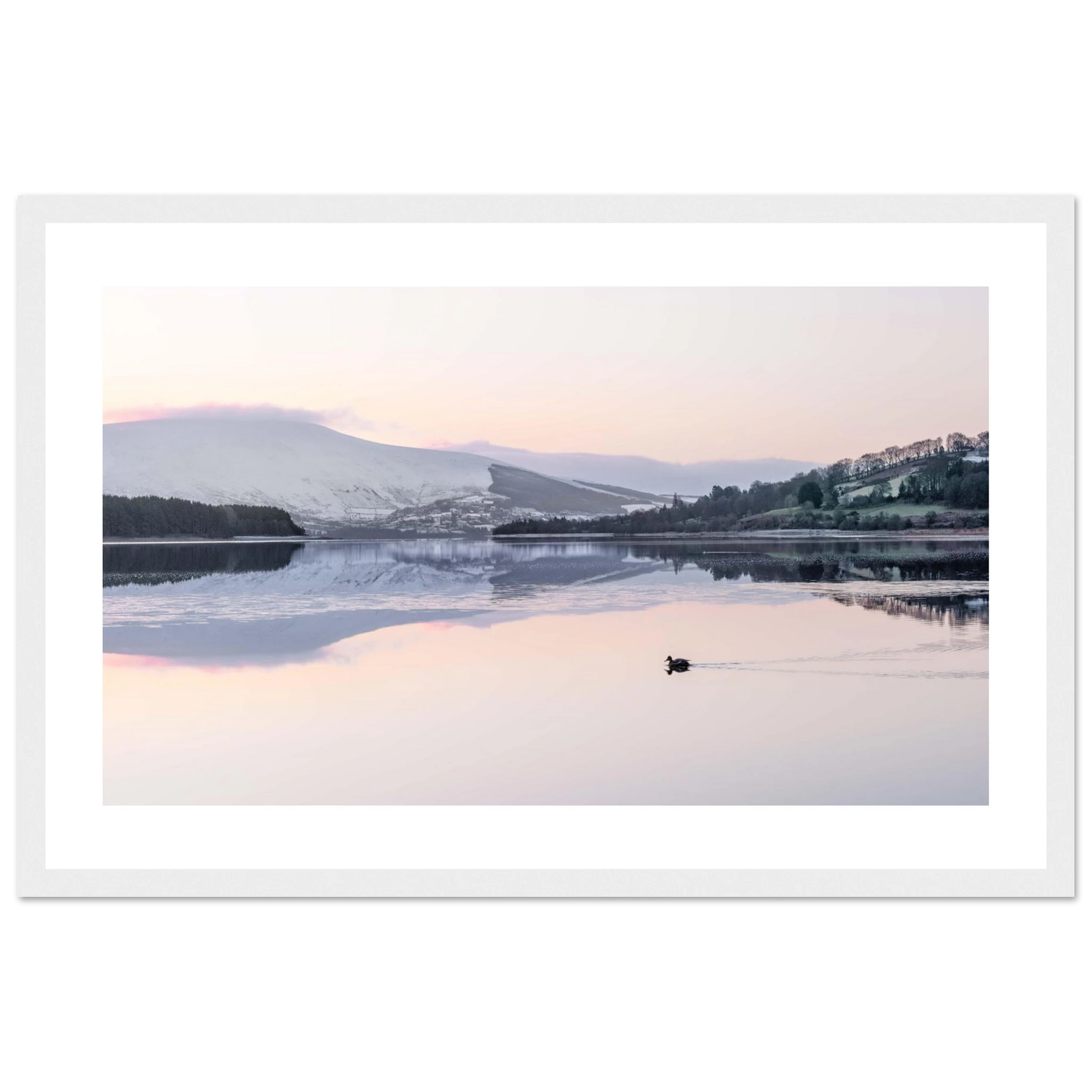 548d03a8-c860-4c4d-b0fa-5db031565f87