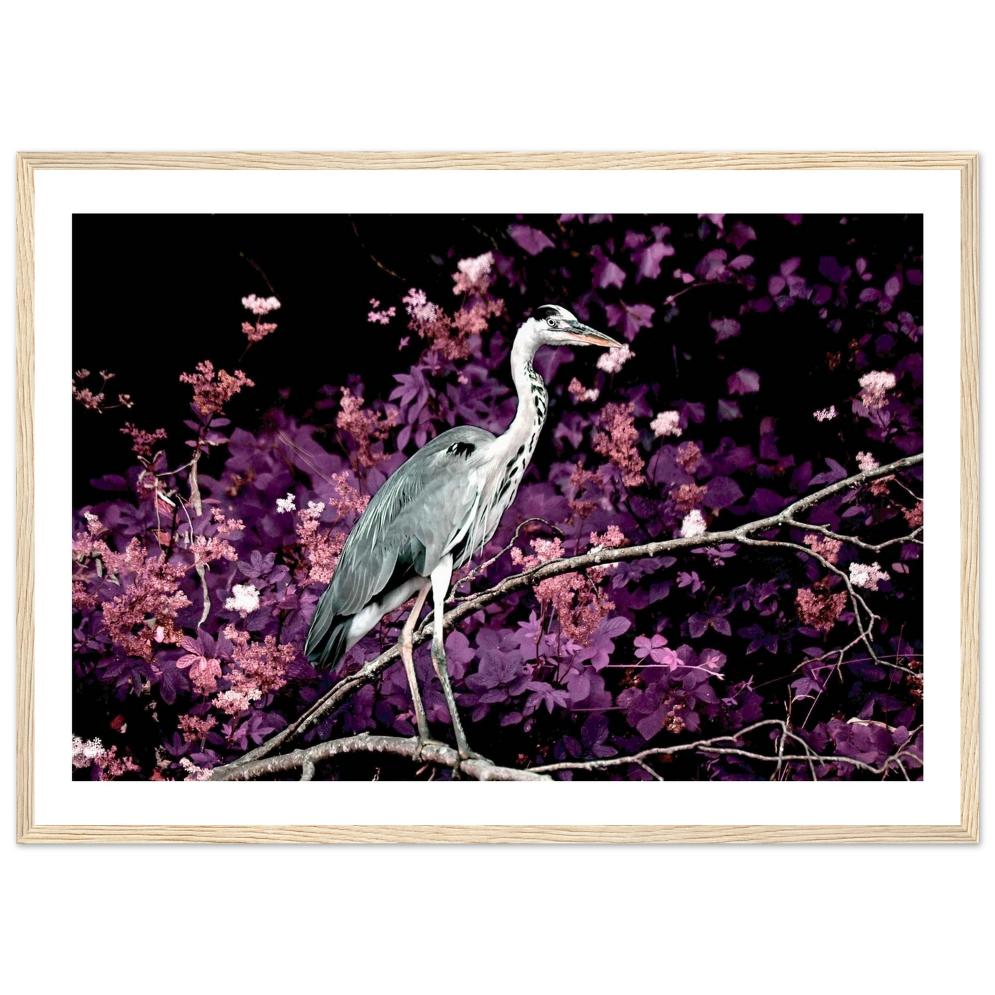 549fa4db-5f51-44f5-9b32-18f5f0dd26fe