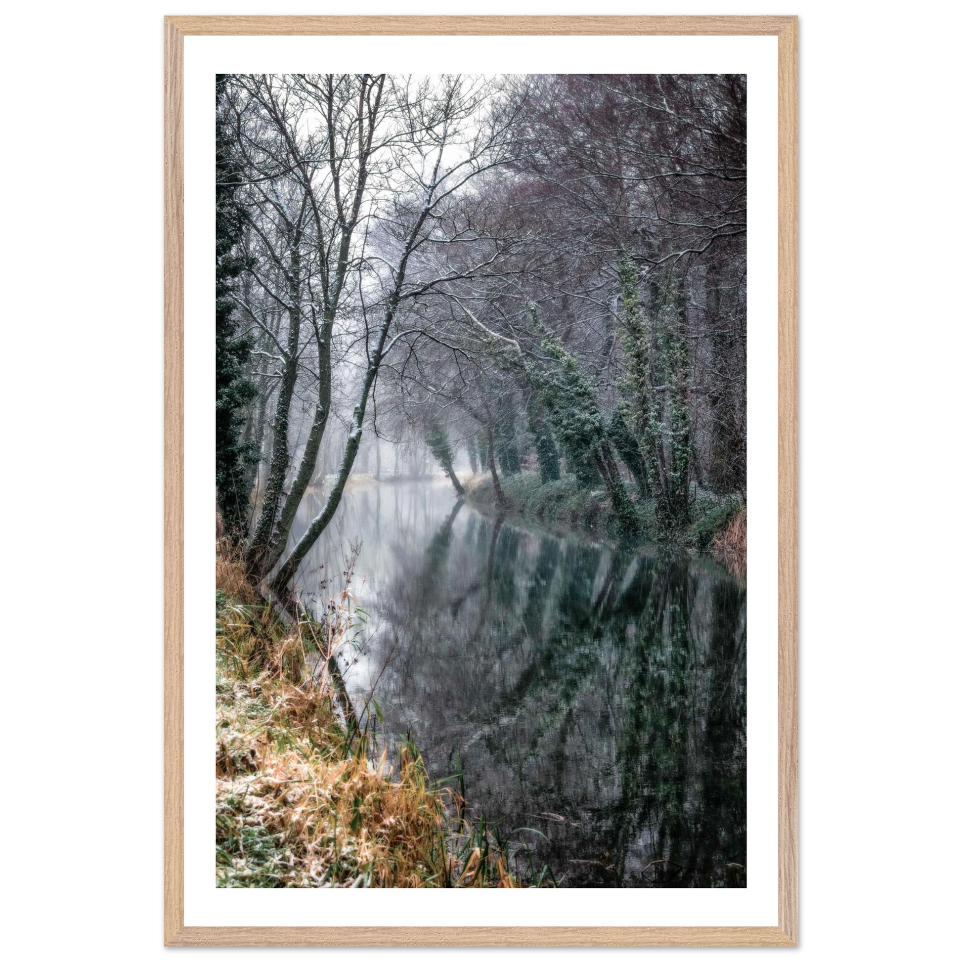 54e904b9-f8dd-46d7-b9c4-01e3fec54326