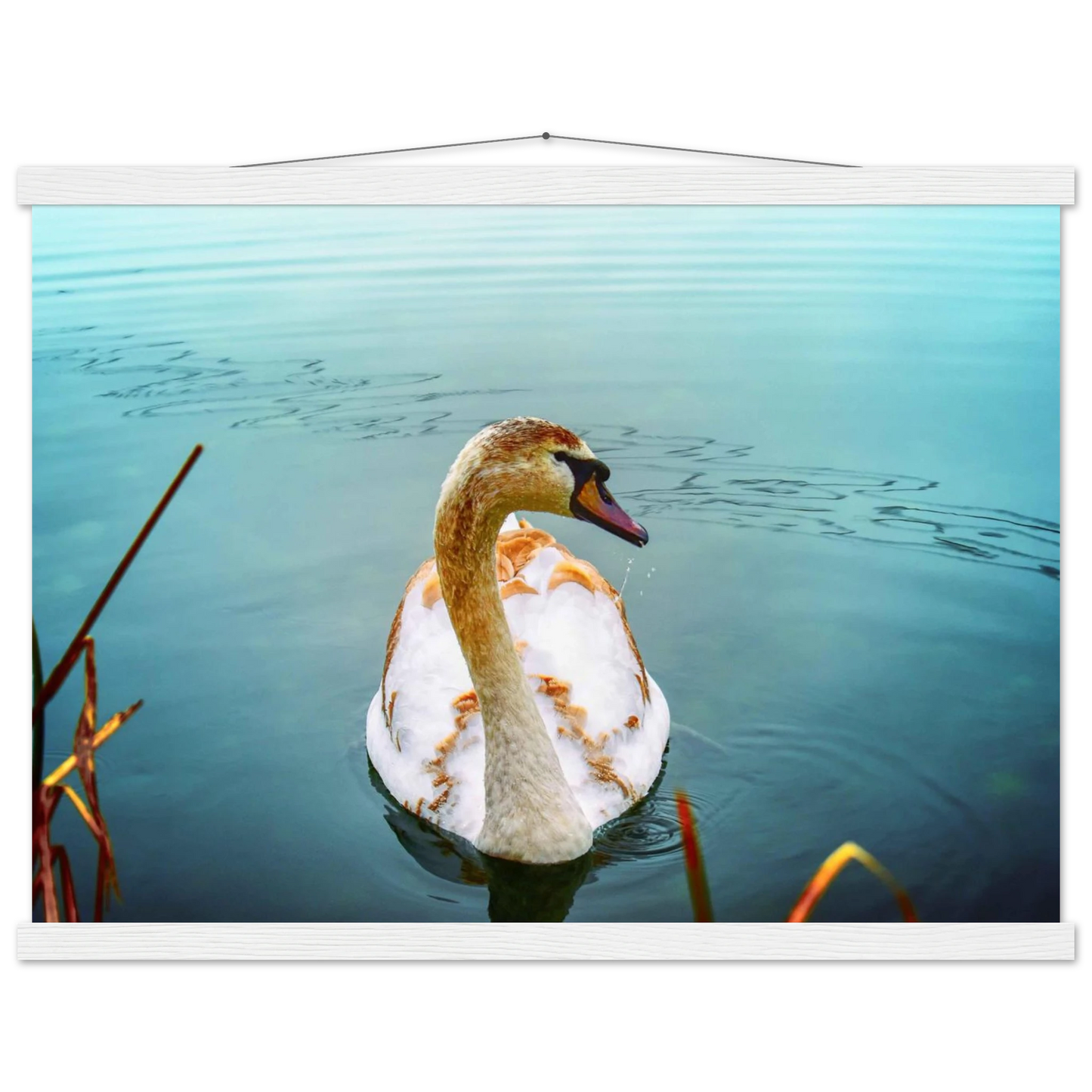 54fb315c-efa2-47ee-8a3b-233c80aa6a1b