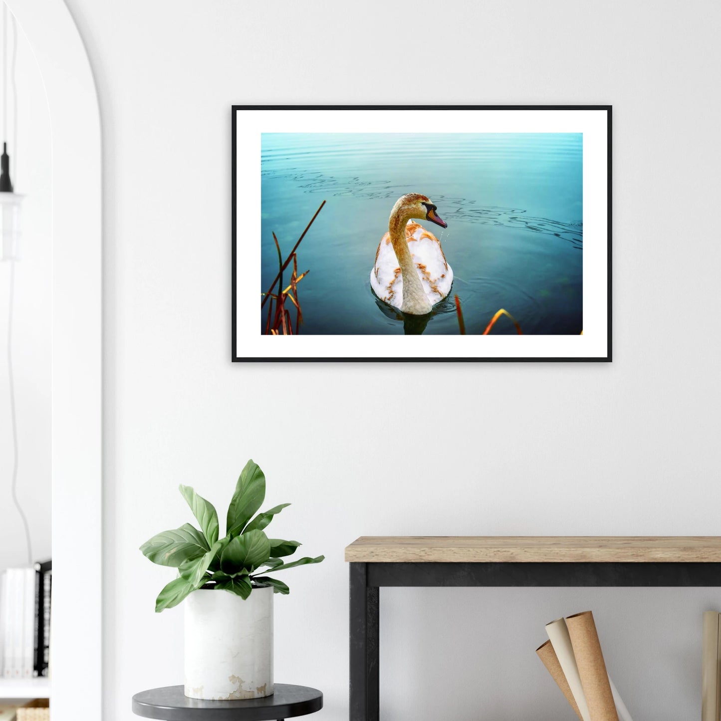 54fbe923-ded8-4b41-a180-a7e2eb11edb3