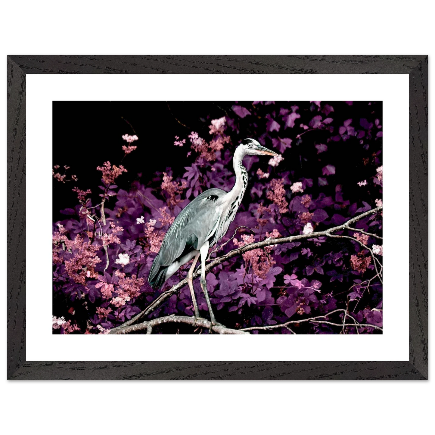 552fef28-7506-4855-961e-189dc15fed85