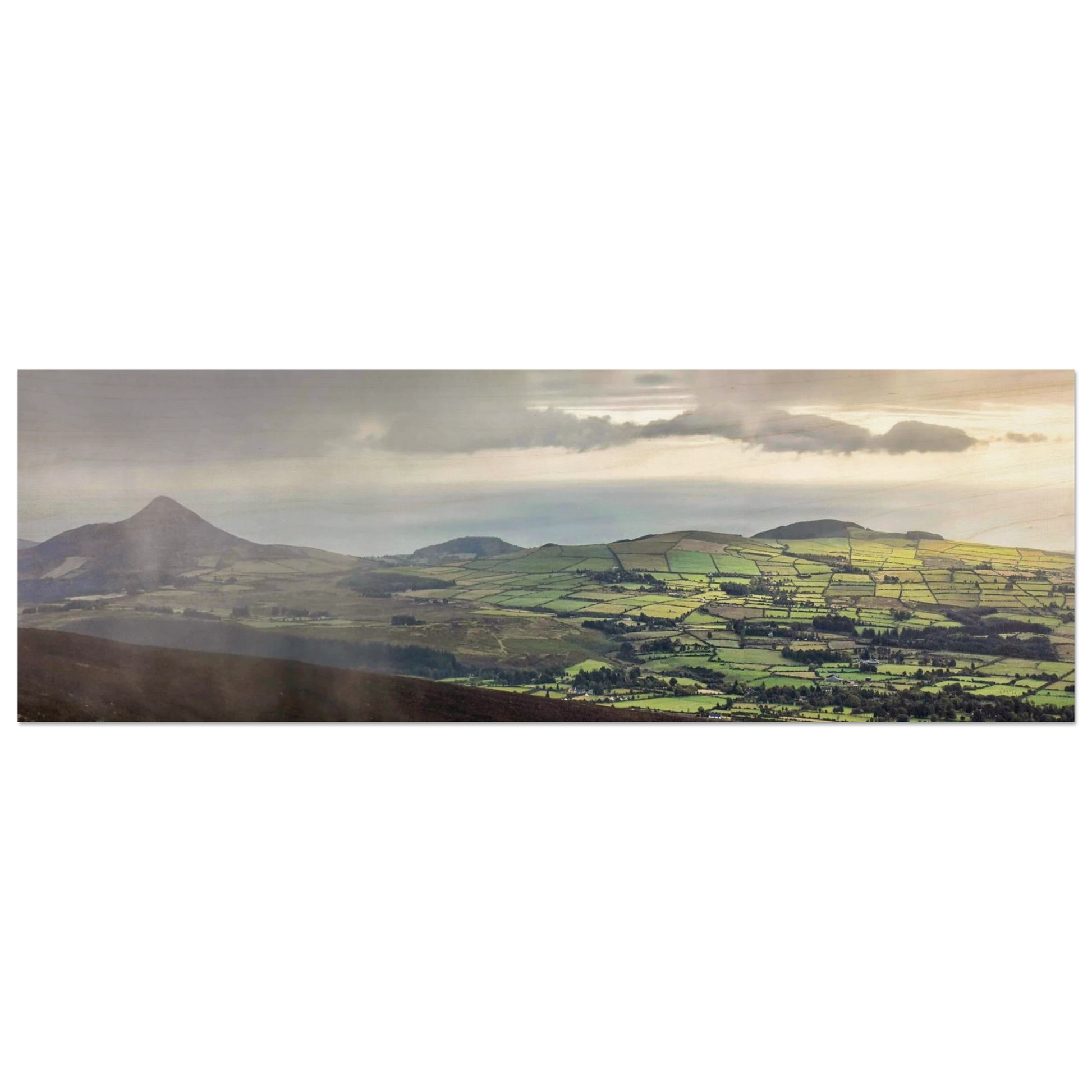 55822ad0-0b46-466e-8e94-591f0371eee4