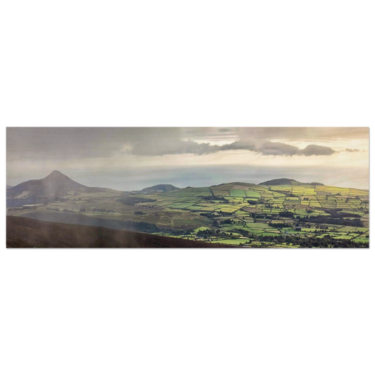 55822ad0-0b46-466e-8e94-591f0371eee4