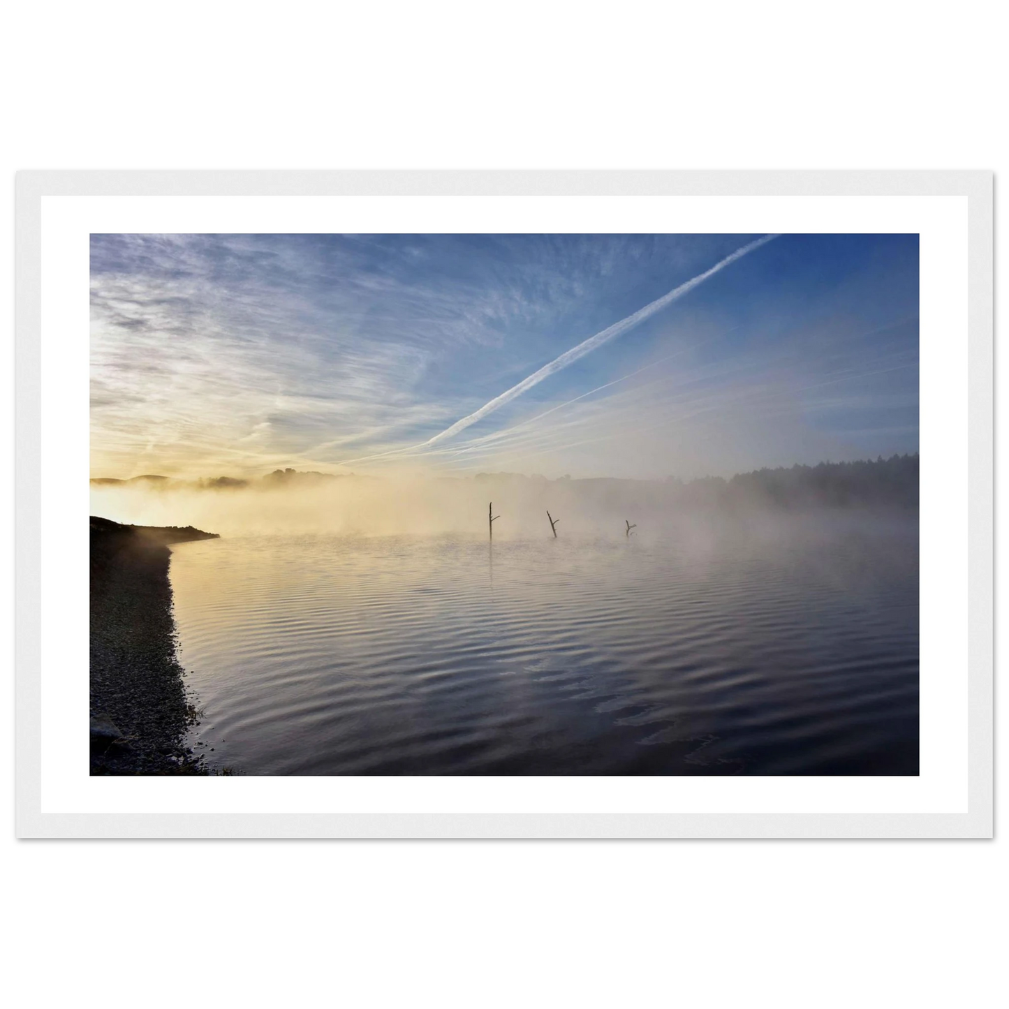 559b6e88-2785-44c5-8934-a7feb198787f