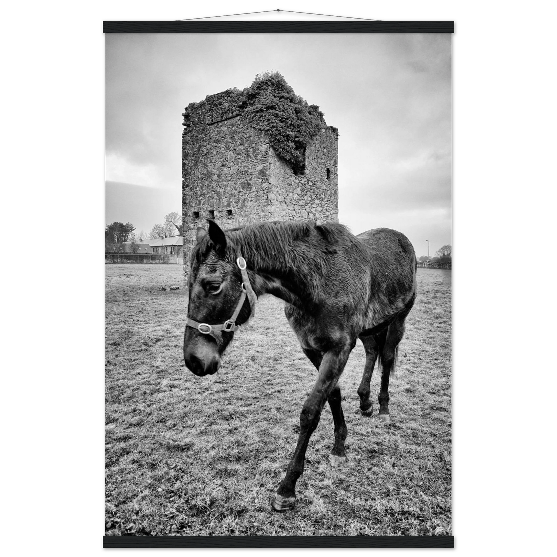 55fe5e89-c6f1-4cf6-80ff-3a4017e65b1d