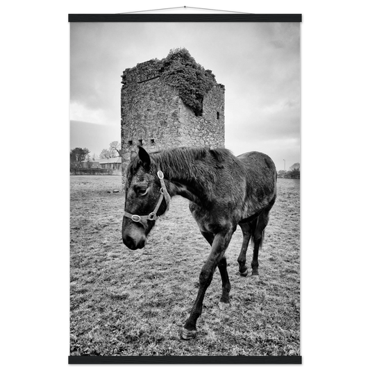 55fe5e89-c6f1-4cf6-80ff-3a4017e65b1d