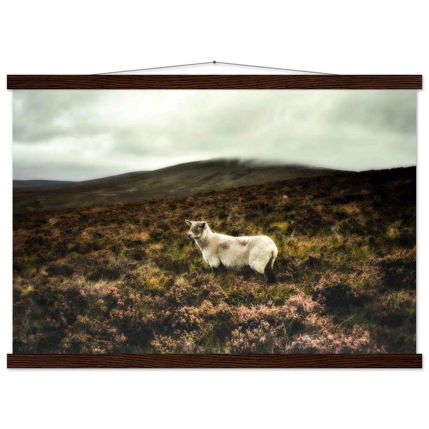 5621b073-9ca5-4226-b4b0-88d772205e4b