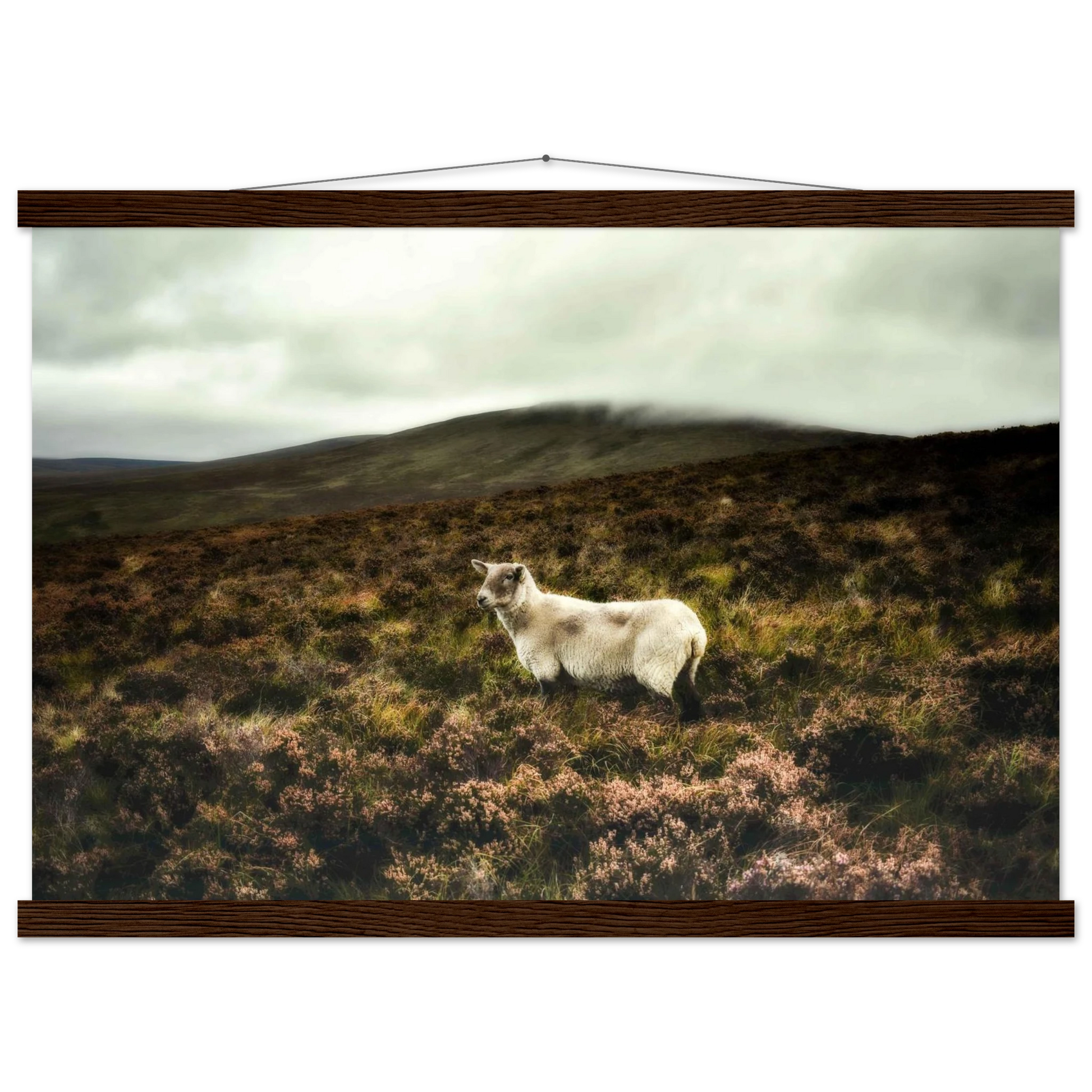 5621b073-9ca5-4226-b4b0-88d772205e4b