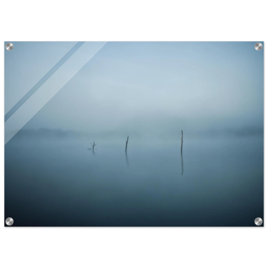 56d57d0d-706c-44a1-b455-422ebd615eff