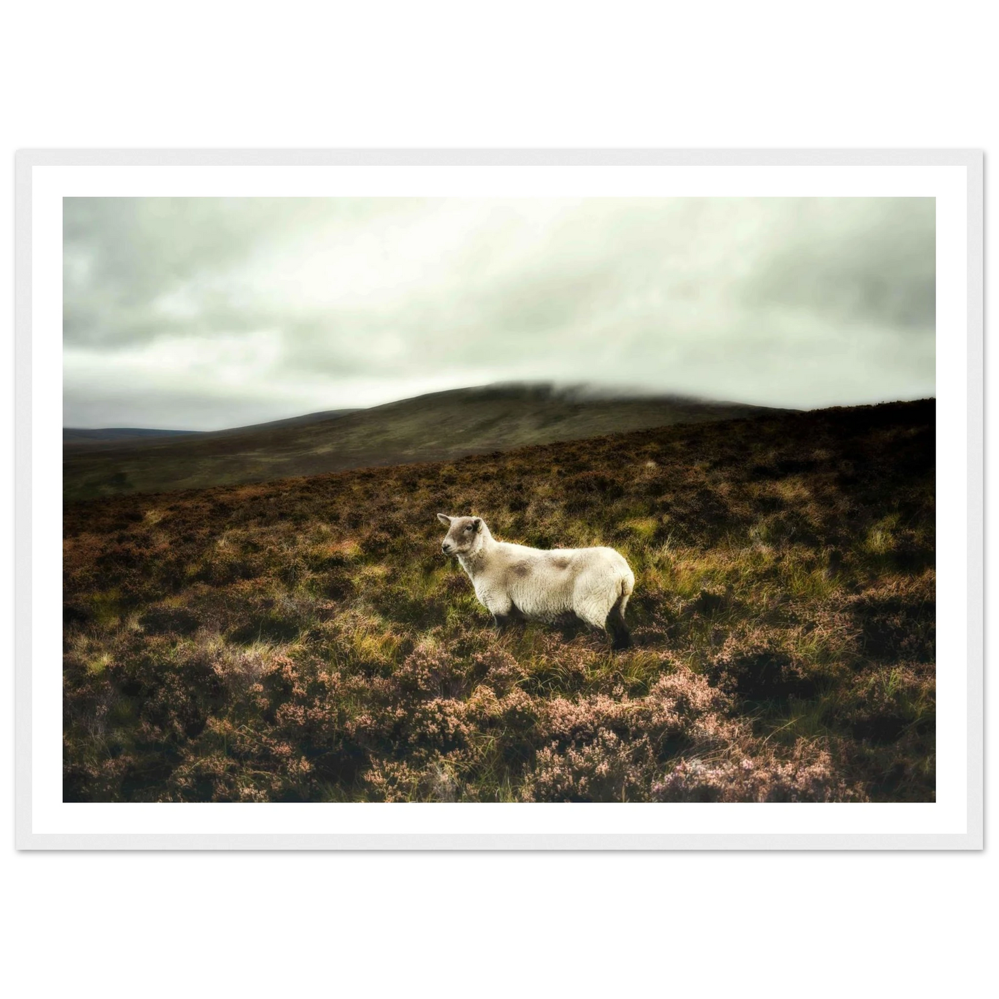 5707a320-370c-4e70-abd8-10245fad0eec