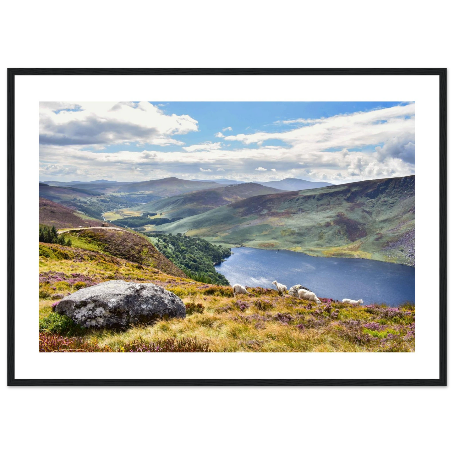 57b5a6a1-2c94-4e0d-95da-6bd351193bca