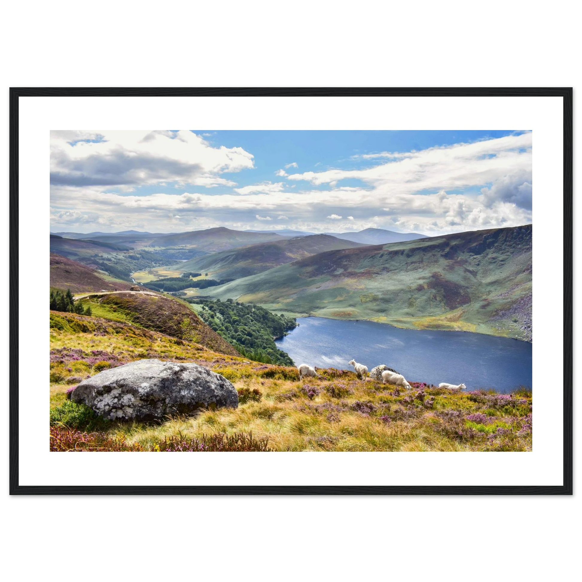 57b5a6a1-2c94-4e0d-95da-6bd351193bca