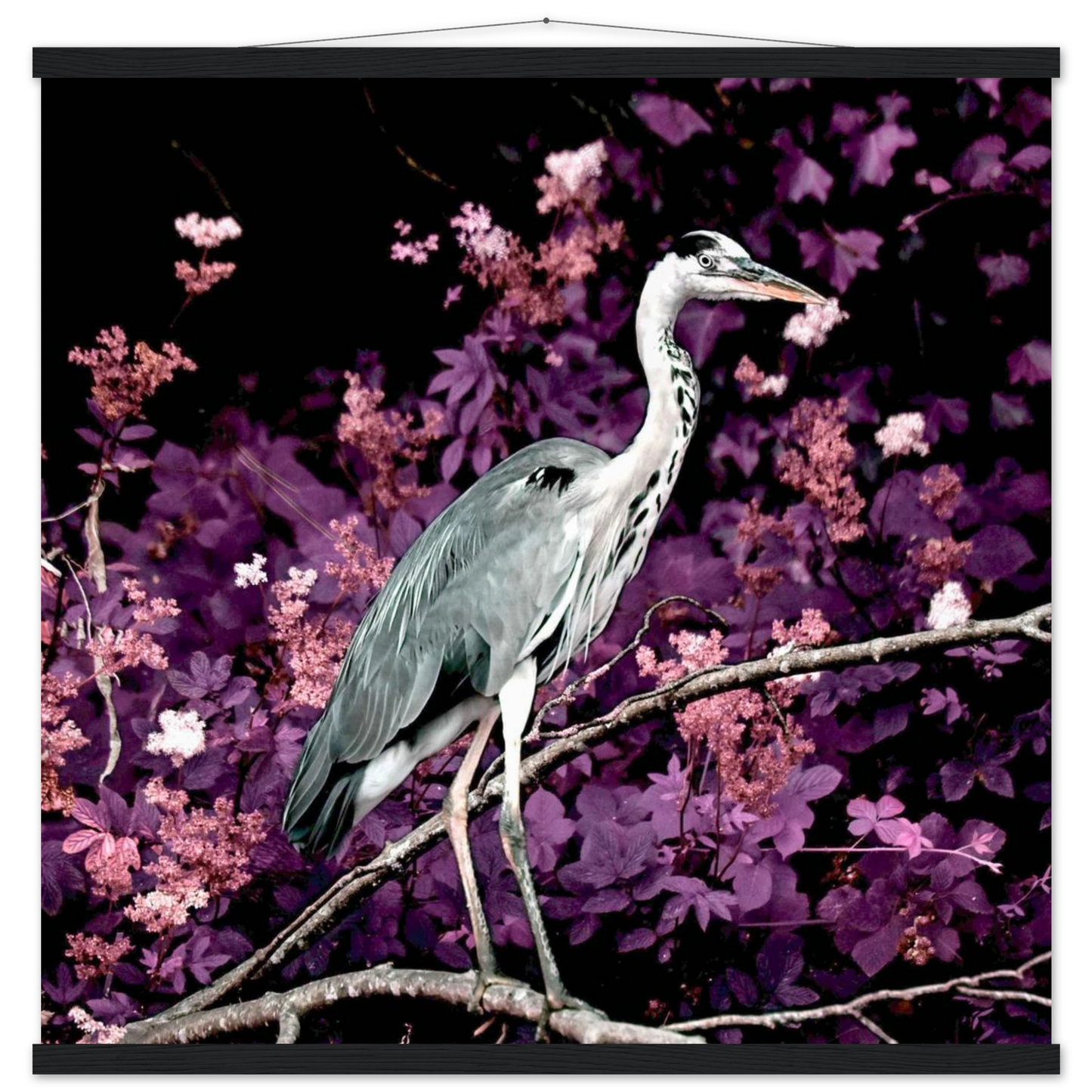 58186e1a-49d4-43b4-ab30-3ac2f1e8d60f